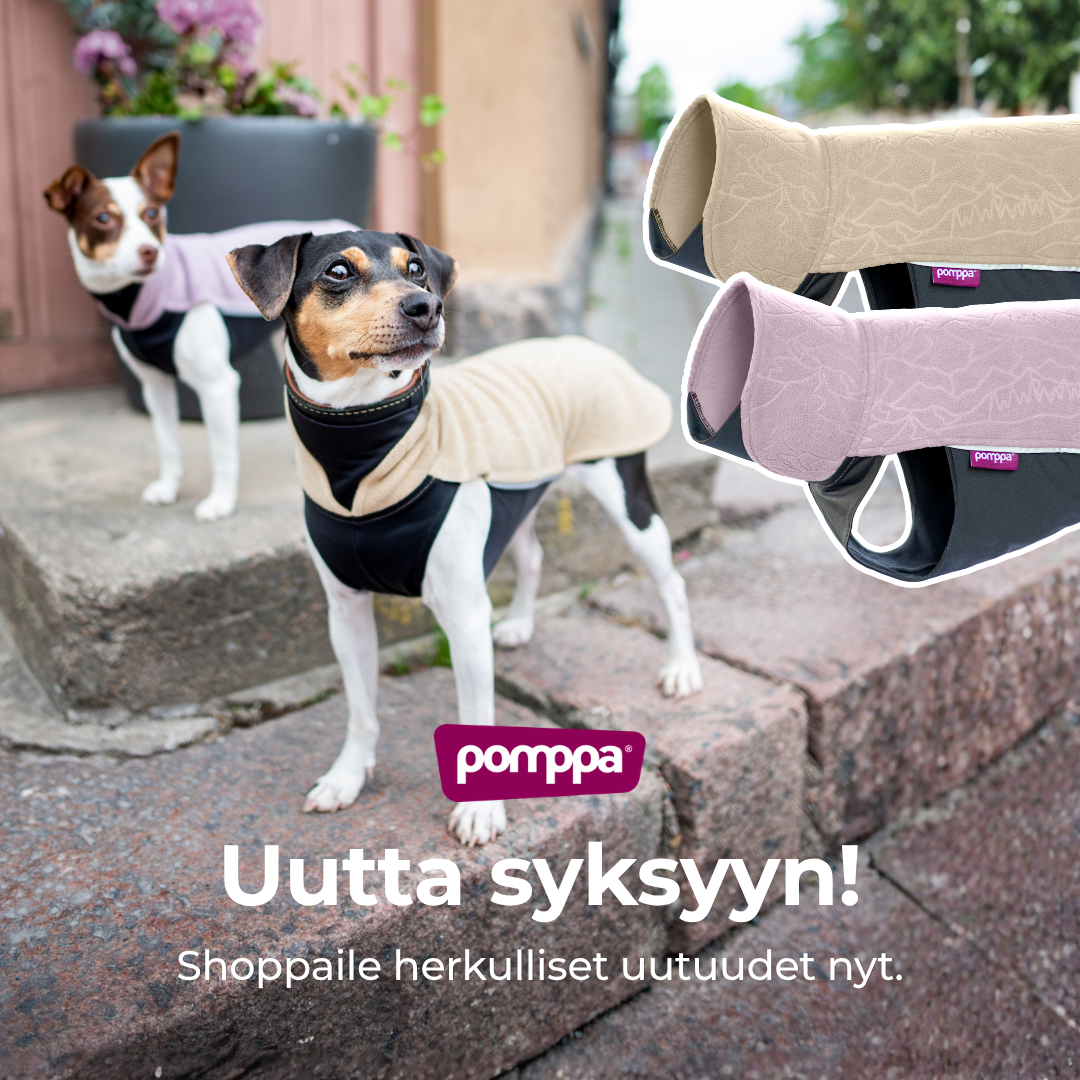 Pomppa Dogwear Facebook ad