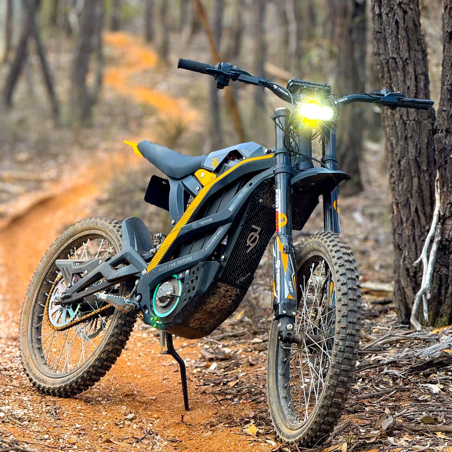 79Bike Electric Facebook ad