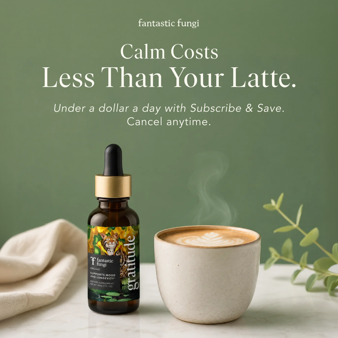 Fantastic Fungi Facebook ad