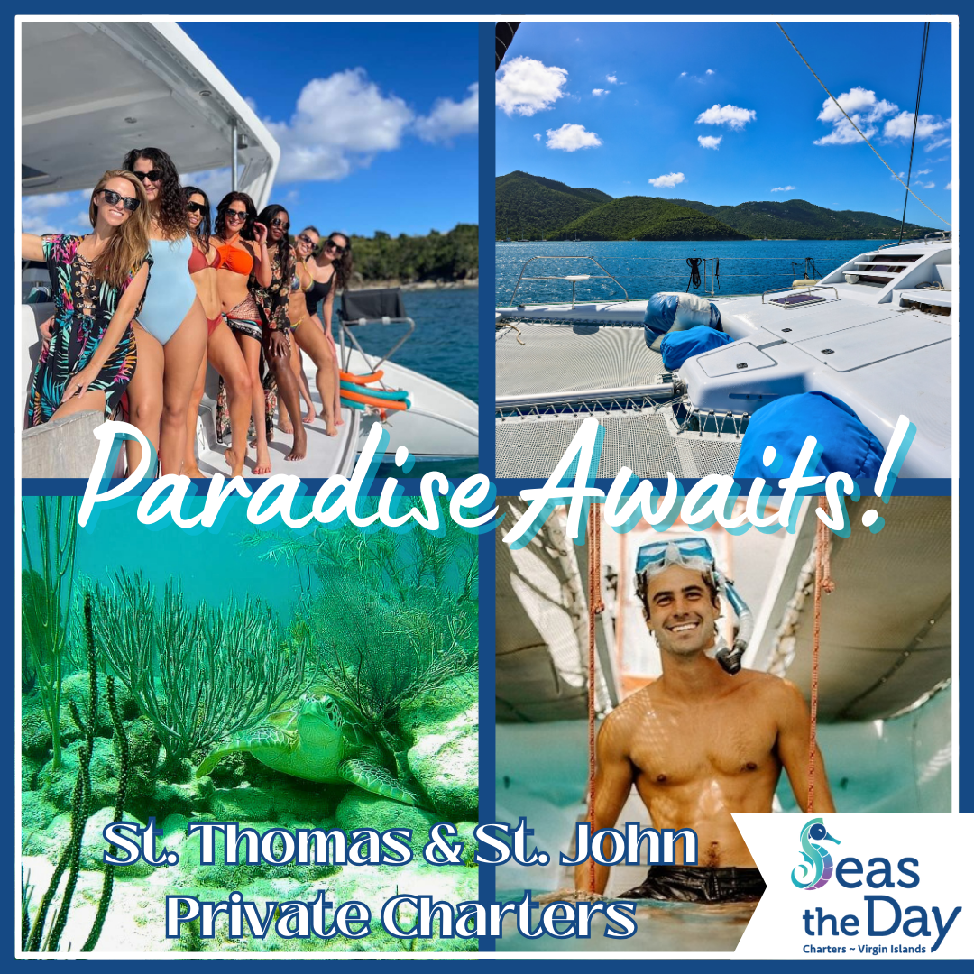 Seas the Day Charters USVI Facebook ad