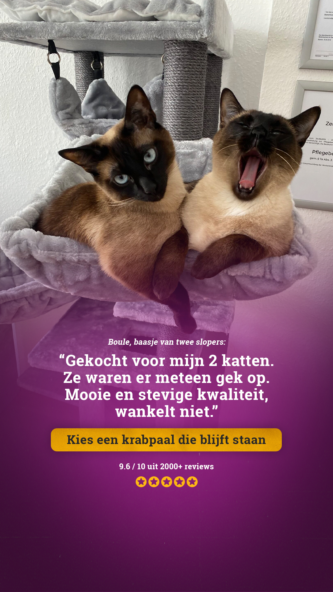 petrebels.com Facebook ad