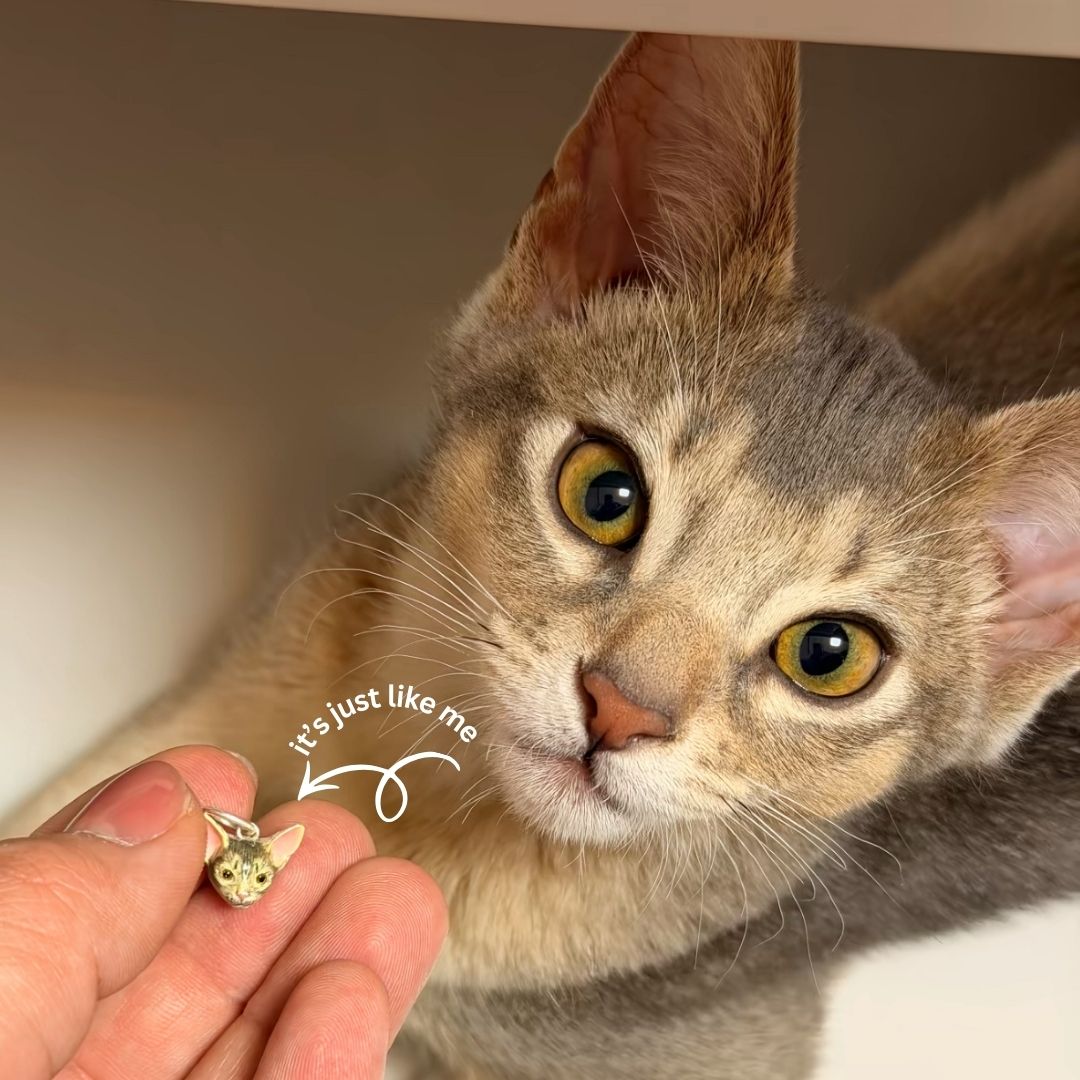 TilloPets Facebook ad: ONLY 3 Make left before We Close!