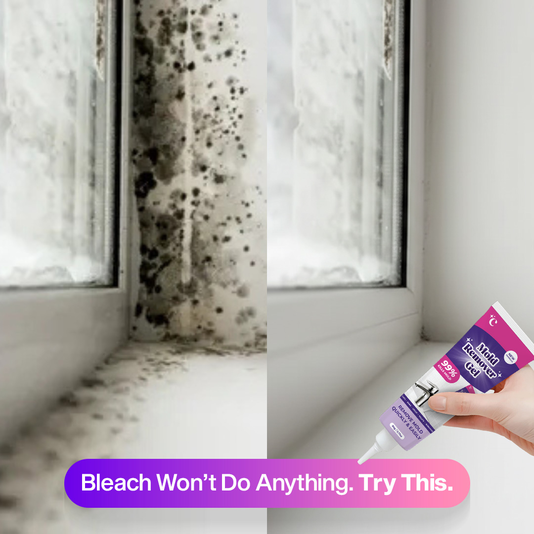 Home Cleaning Hacks Facebook ad: Why Mold Keeps Coming Back