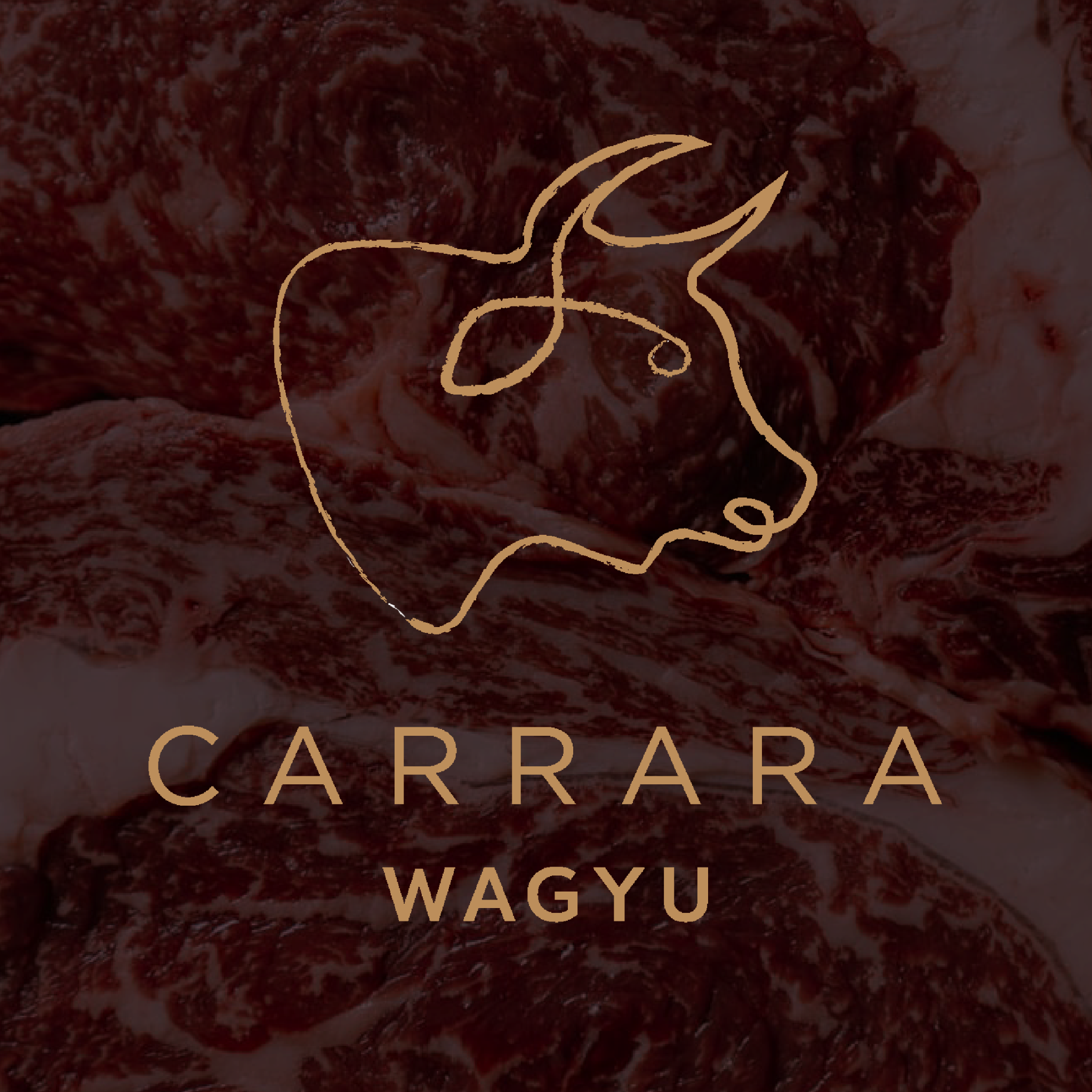 Kilcoy Global Foods Facebook ad: Carrara Wagyu is our multiple award-winning brand, renowned…