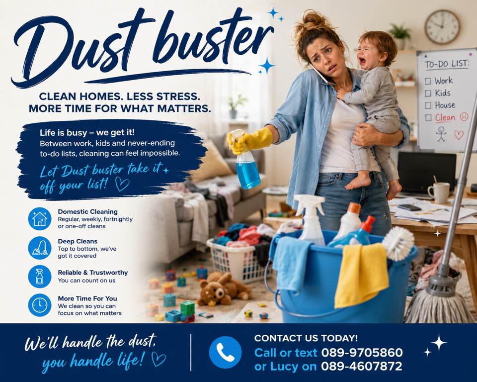 Dust Busters Facebook ad