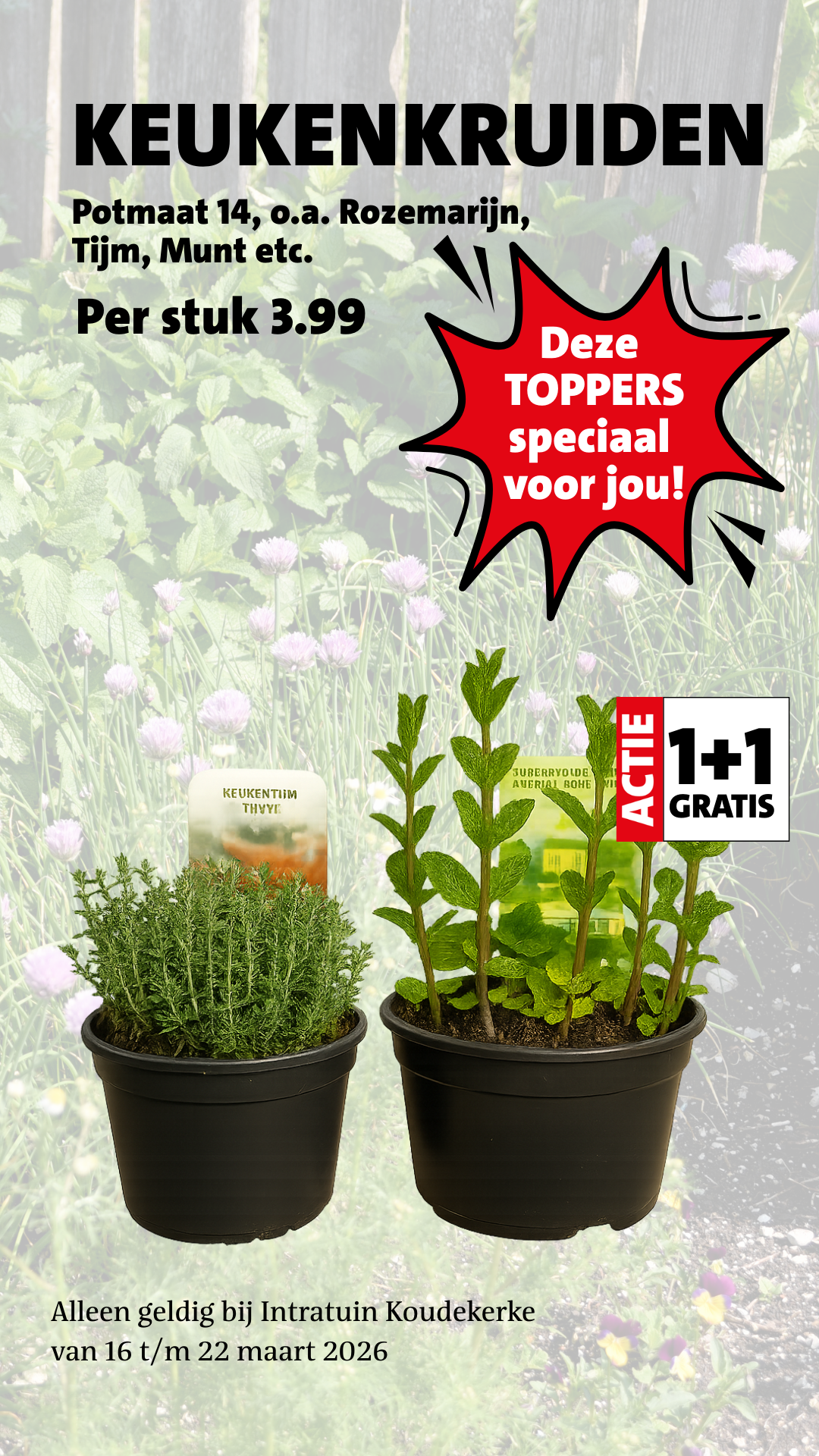 Intratuin Koudekerke Facebook ad