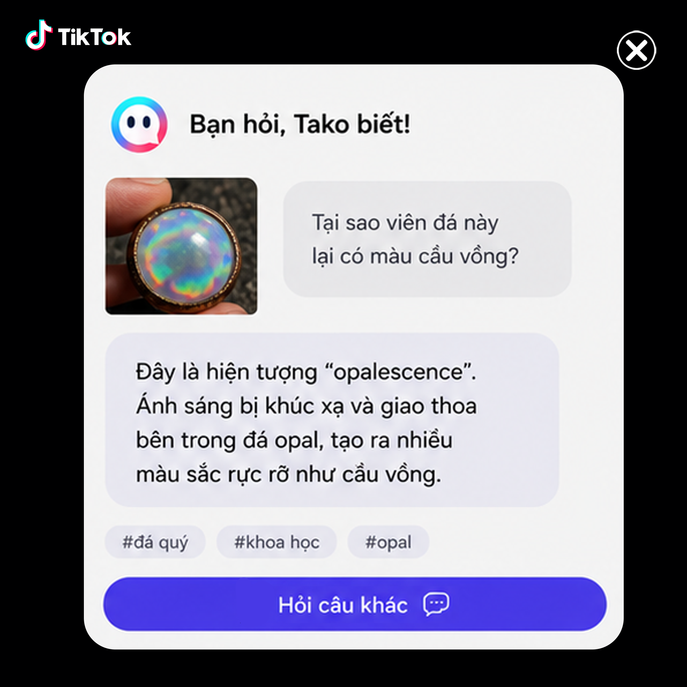 TikTok- Global Facebook ad