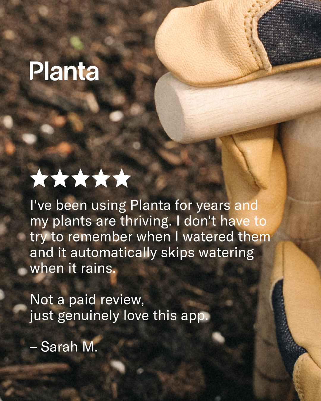 Planta Facebook ad