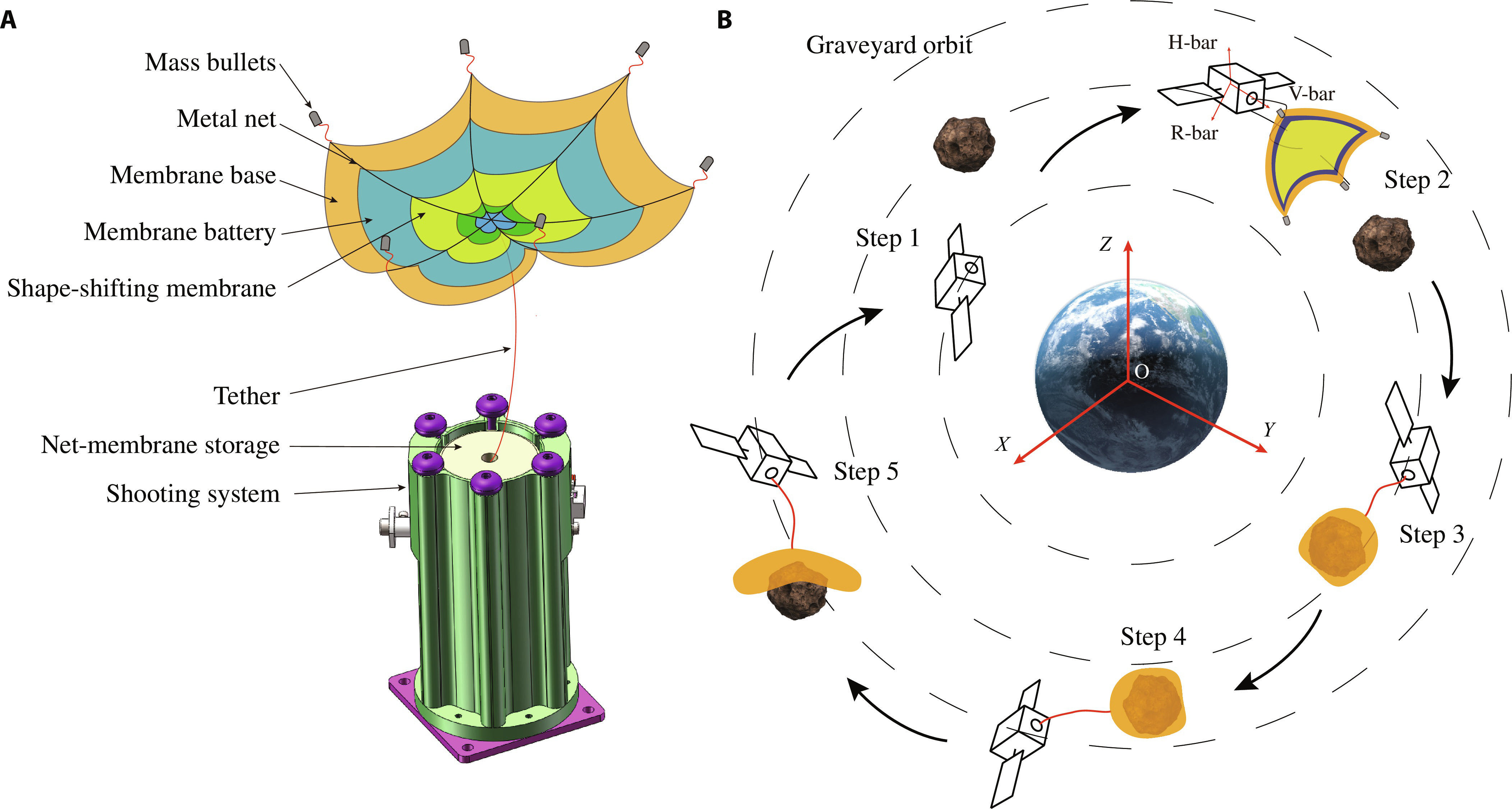 Science Partner Journals Facebook ad: Just Published!