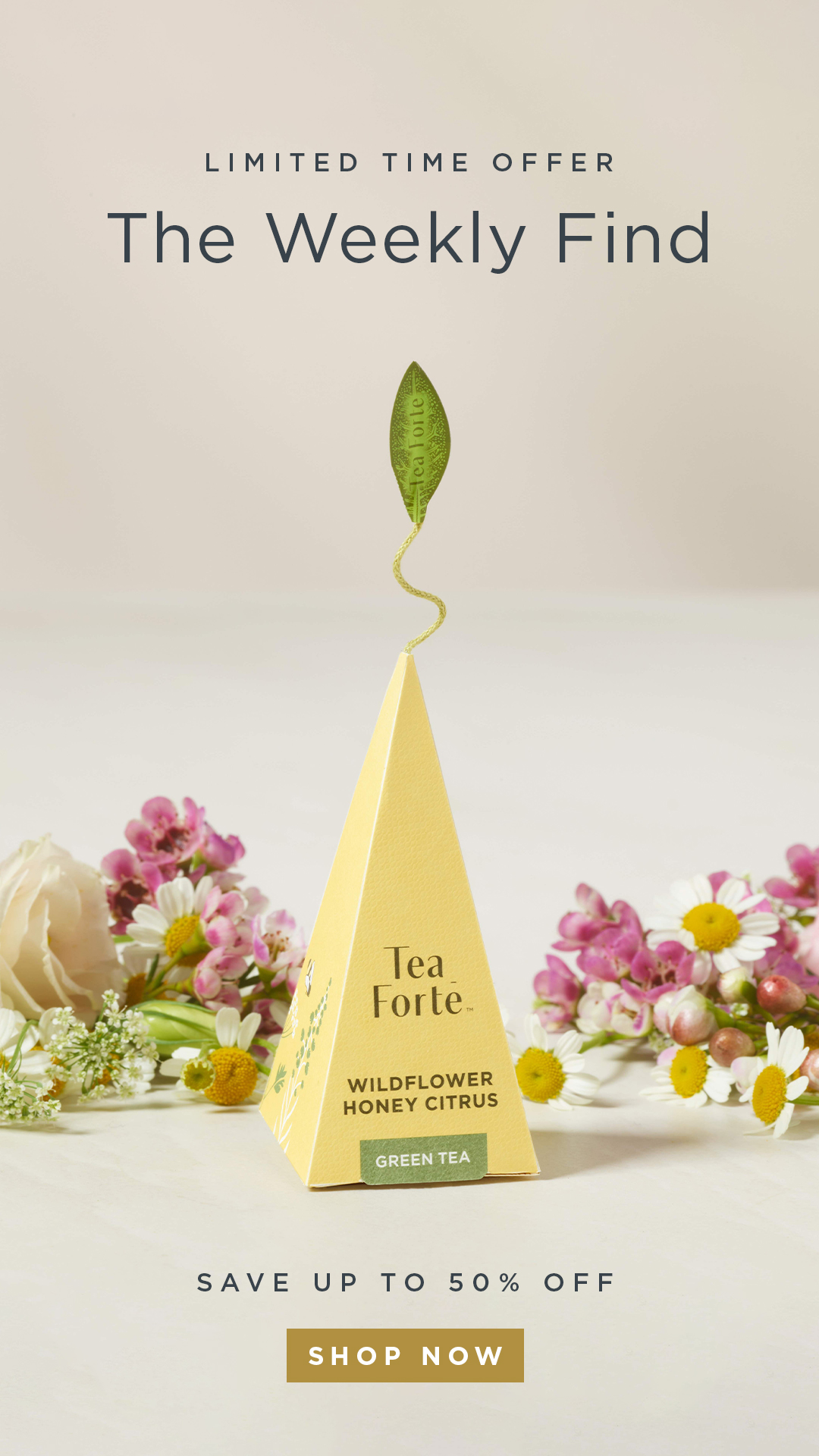 Tea Forté Facebook ad