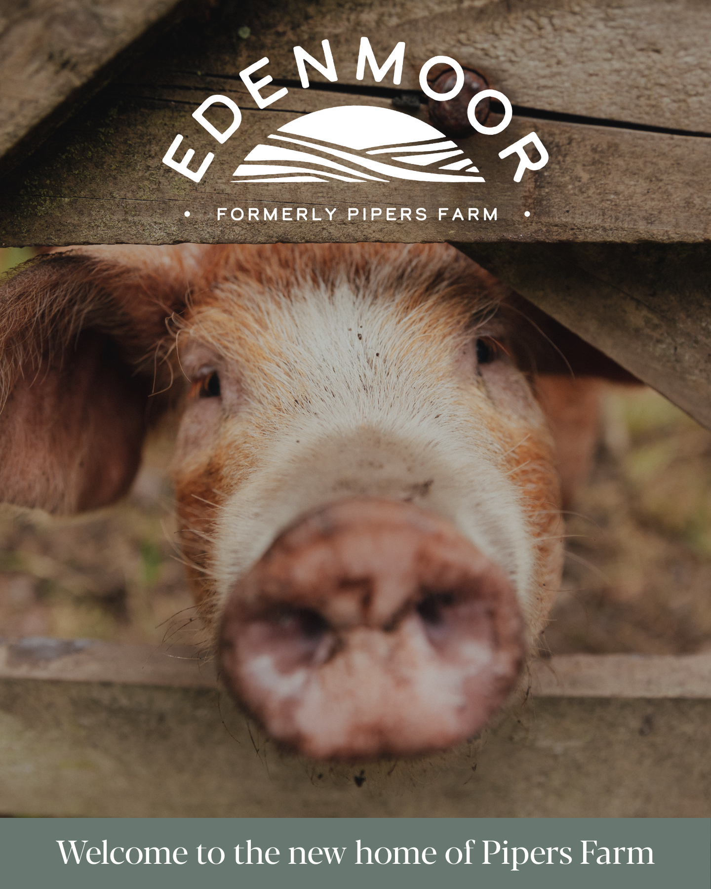 Pipers Farm Facebook ad: Pipers Farm is Now Edenmoor