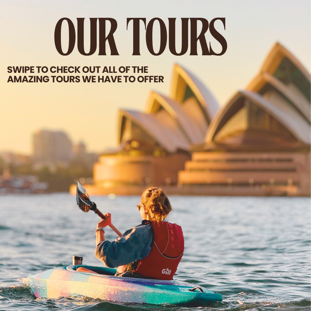 Sydney by Kayak Facebook ad: Whether you're after a barista-made coffee at sunrise…