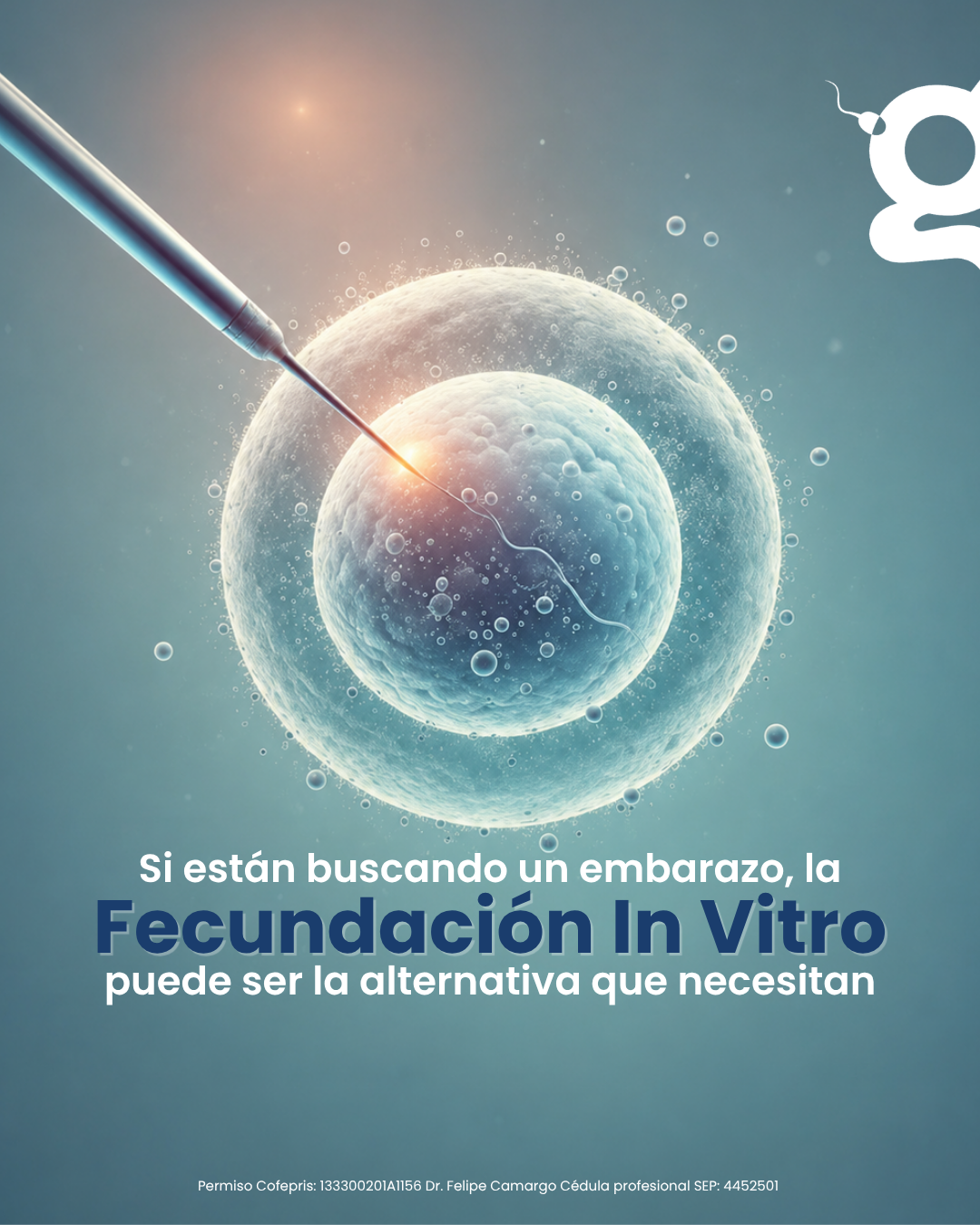 Instituto Ingenes Facebook ad