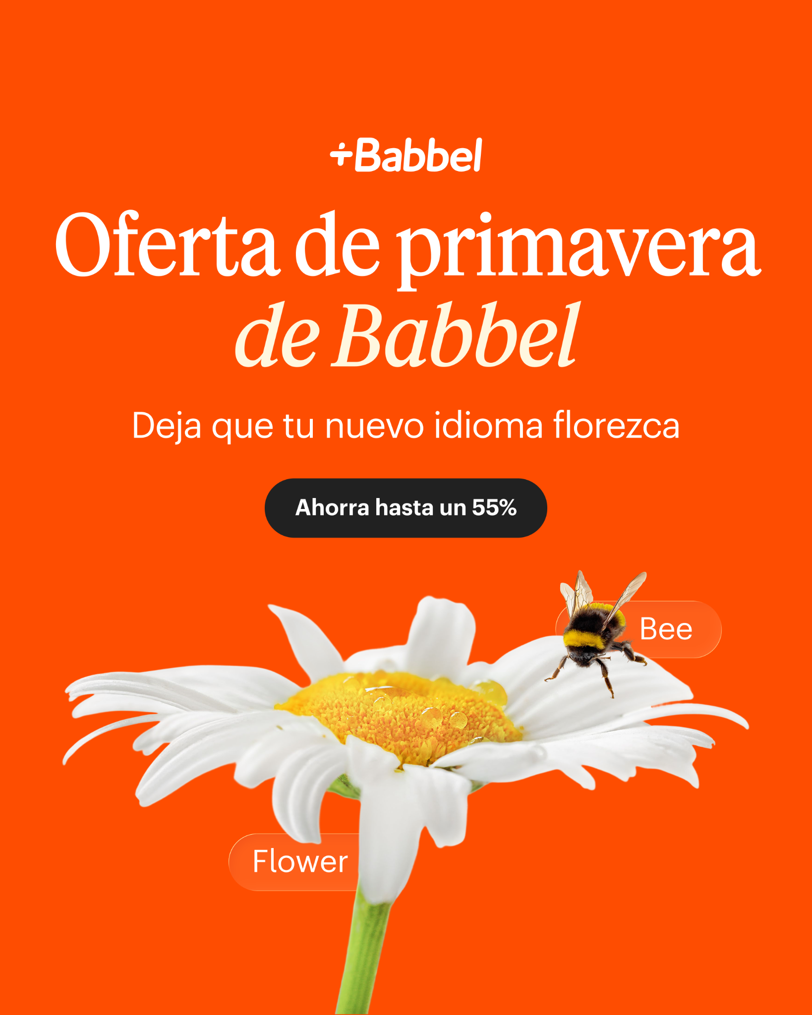 Babbel Facebook ad