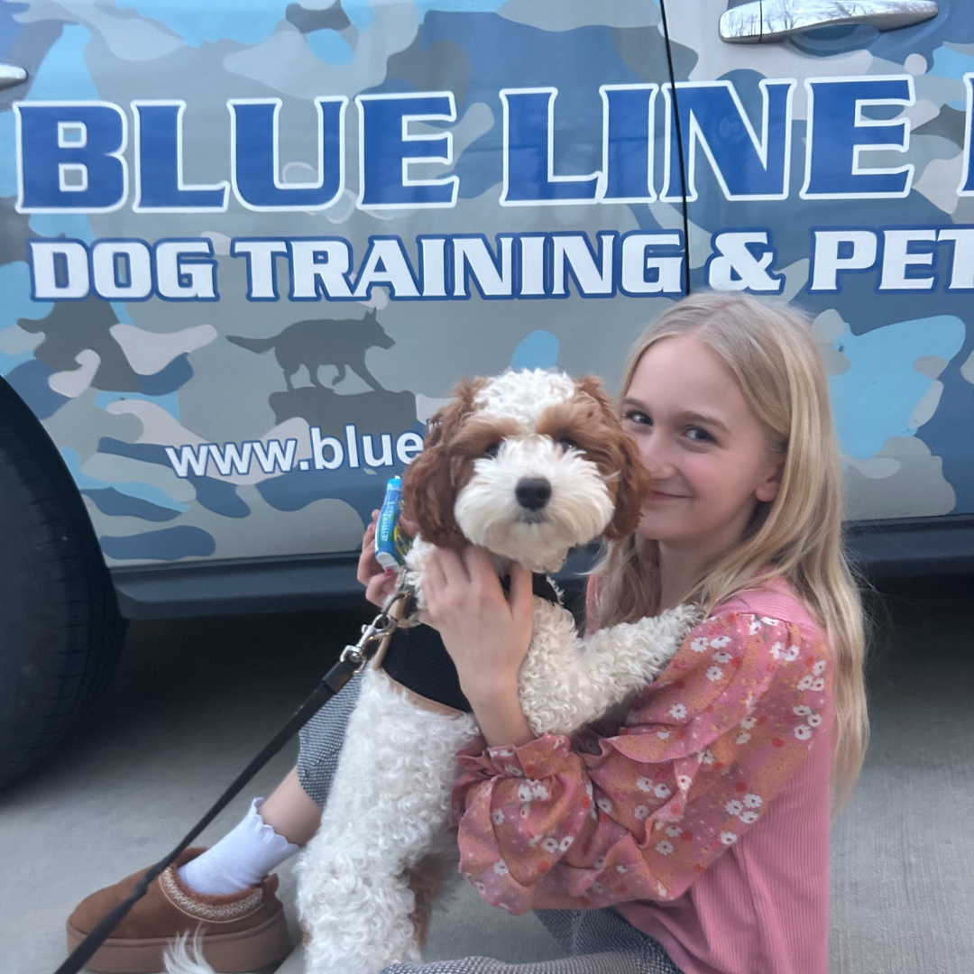 Blue Line K-9 Dog Training Facebook ad from Feb 2, 2026