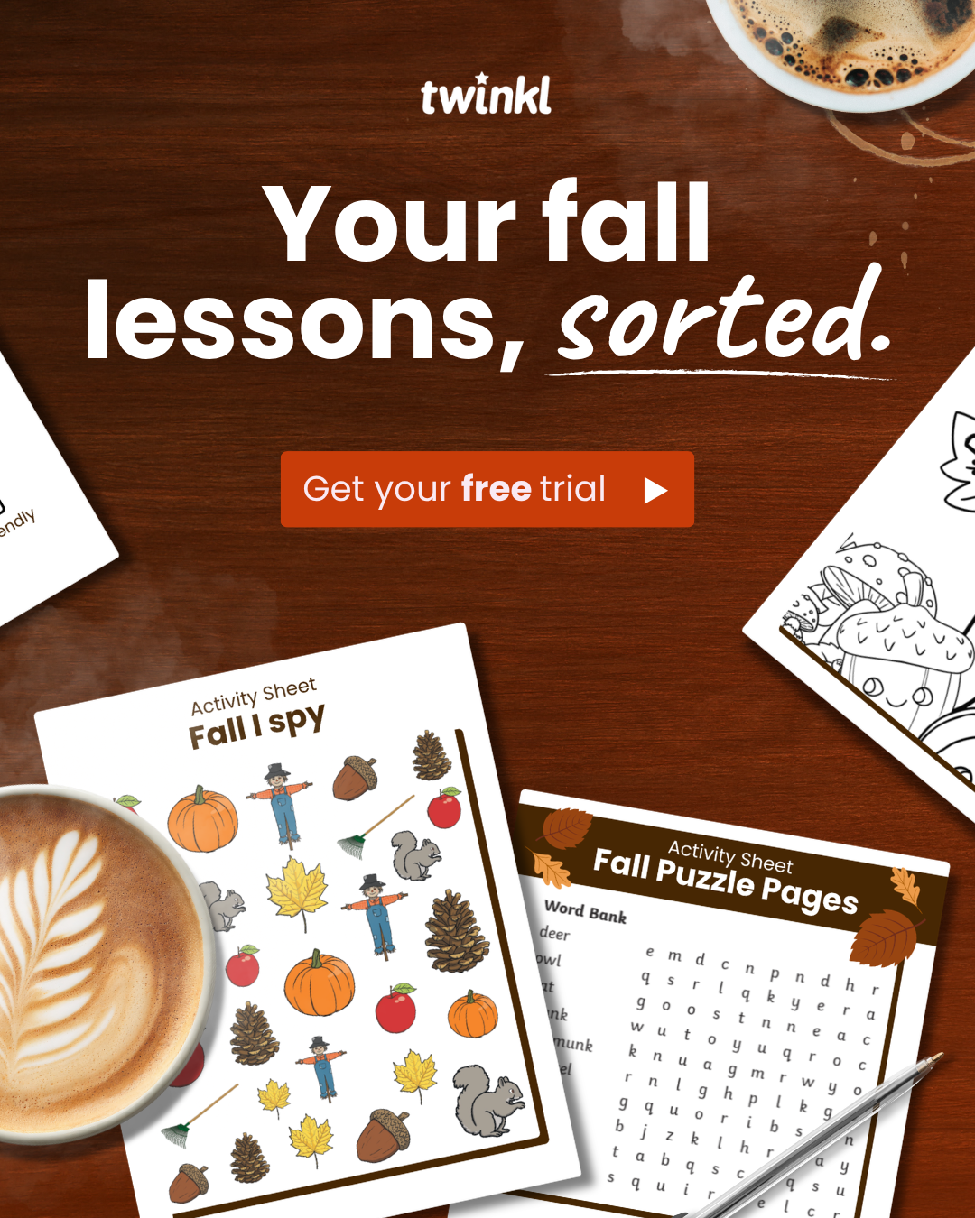 Twinkl Teaching Resources - United States Facebook ad: PSL & print!