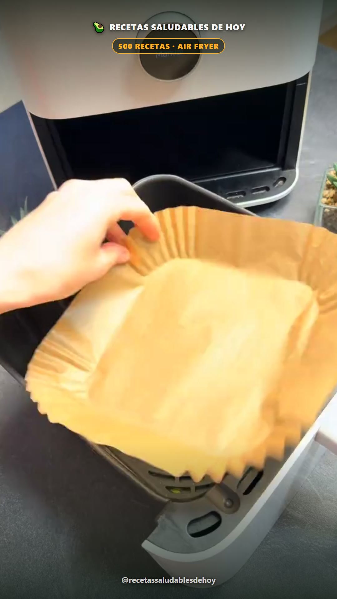 Recetas Saludables de Hoy Facebook ad: ¿Sin tiempo para cocinar sano? Tu Air Fryer lo hace sola