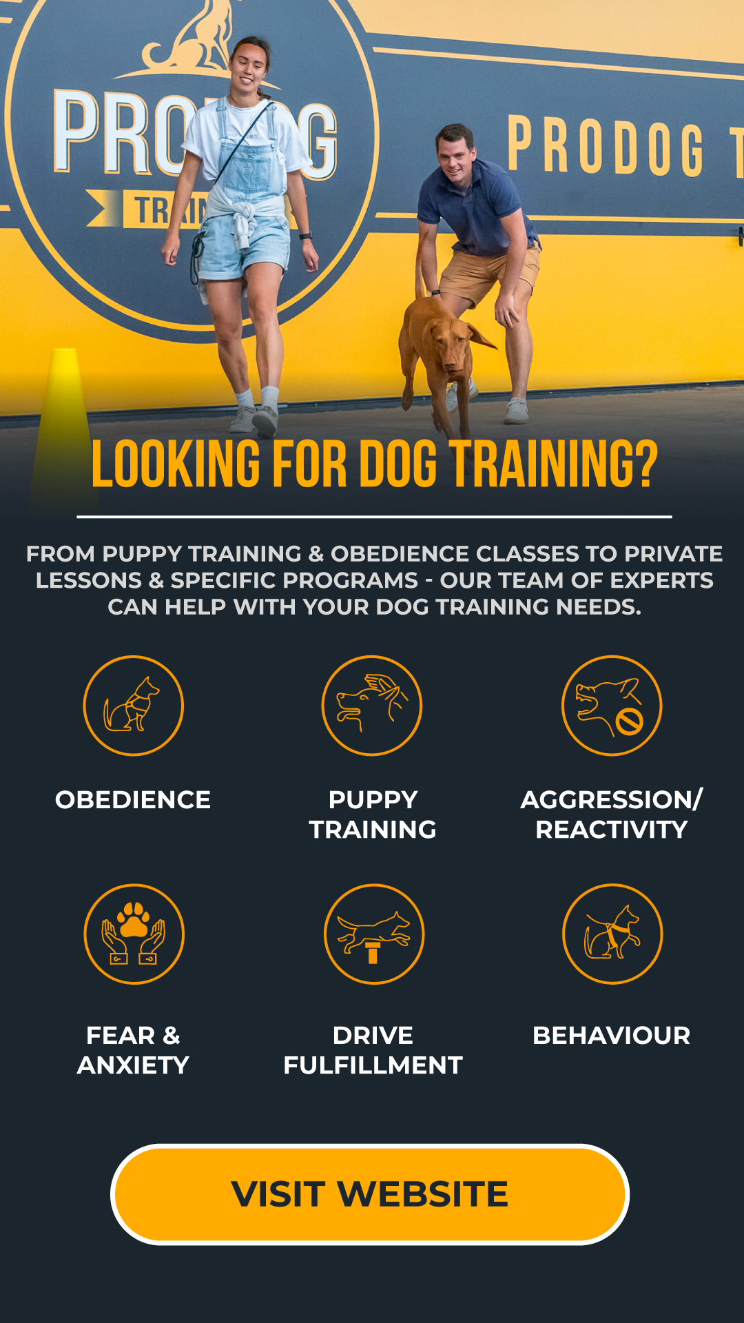 Pro Dog Training Facebook ad