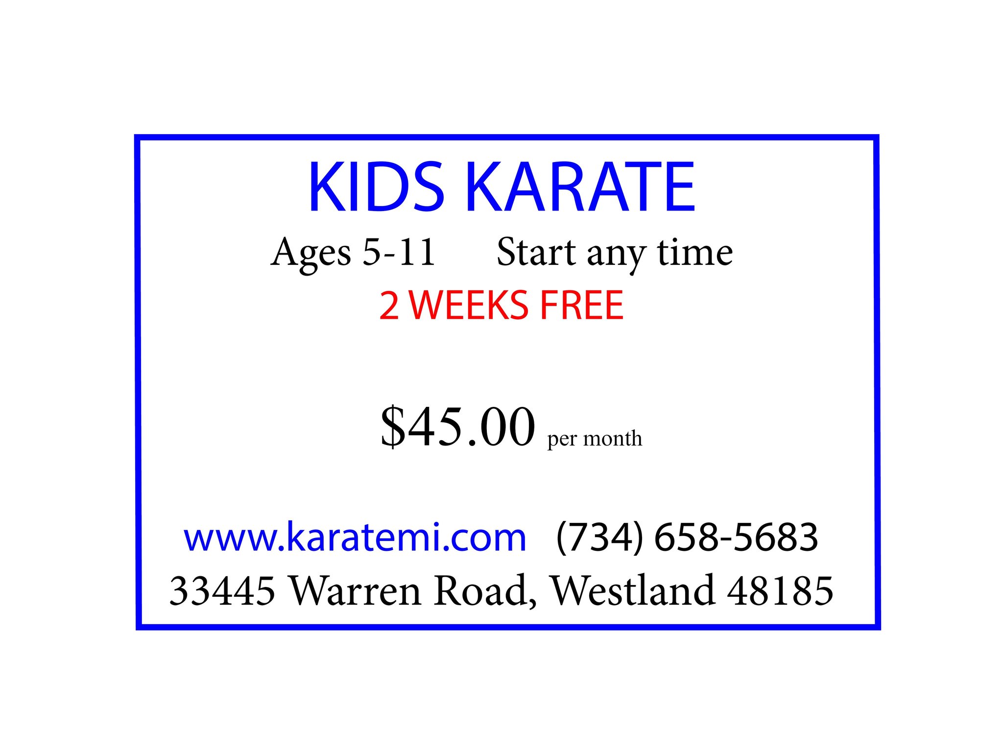 Shotokan Karate Federation of Michigan Facebook ad