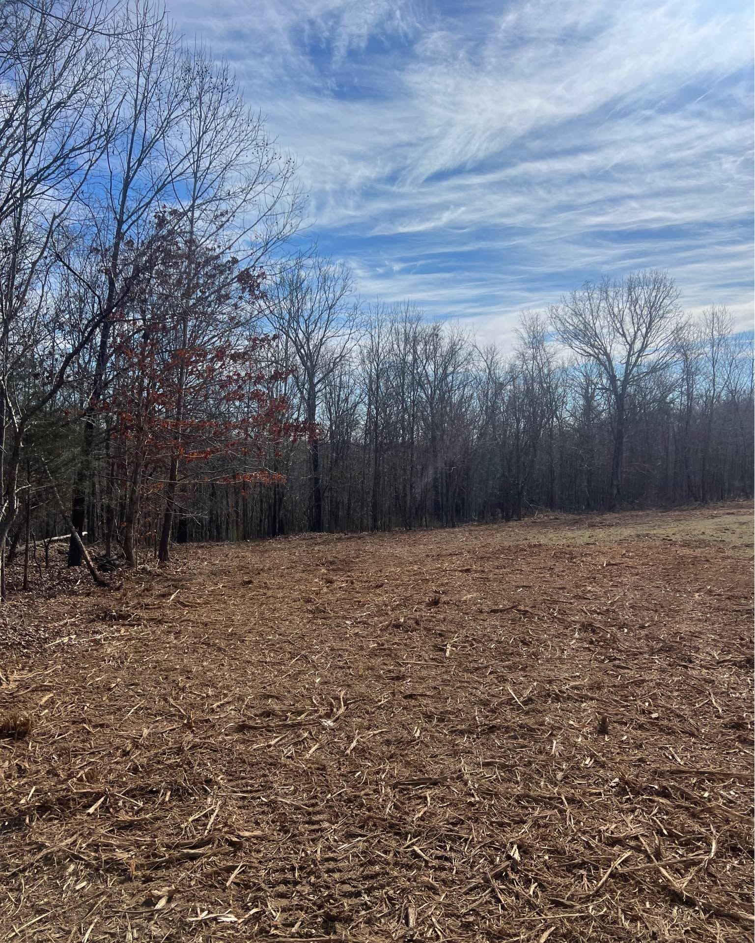 Jack Chiles Facebook ad: Forestry Mulcher
