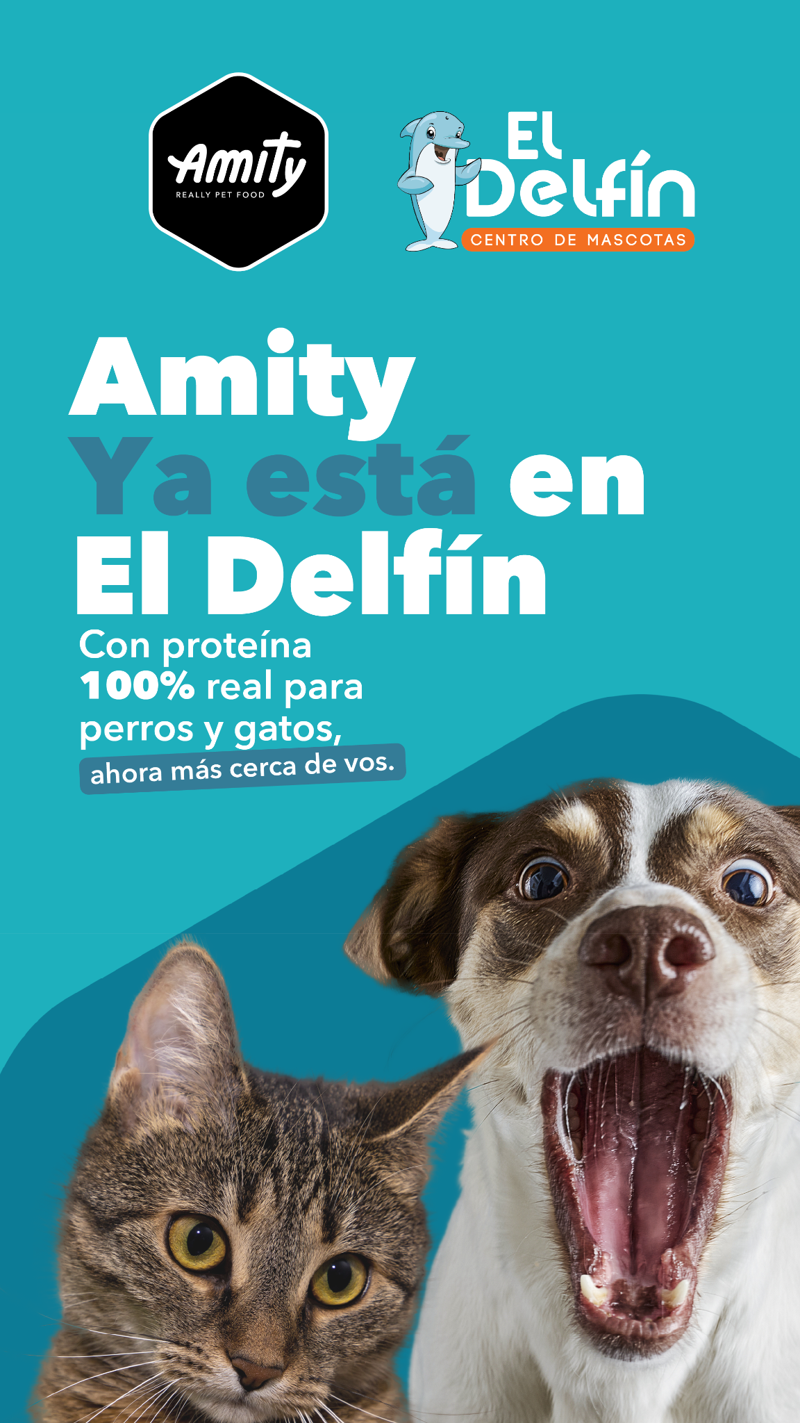 Amity Pet Food CR Facebook ad from Mar 9, 2026