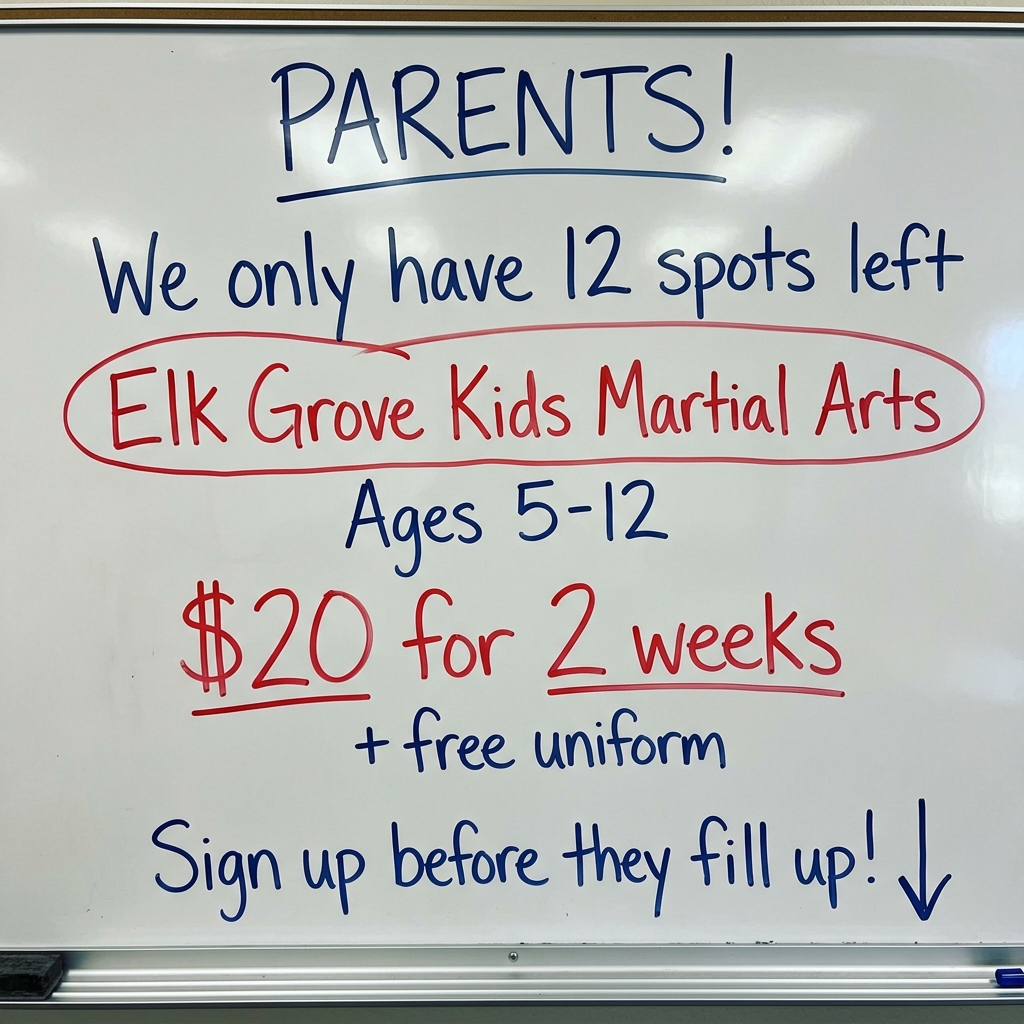 Elk Grove Academy - Family Taekwondo Facebook ad