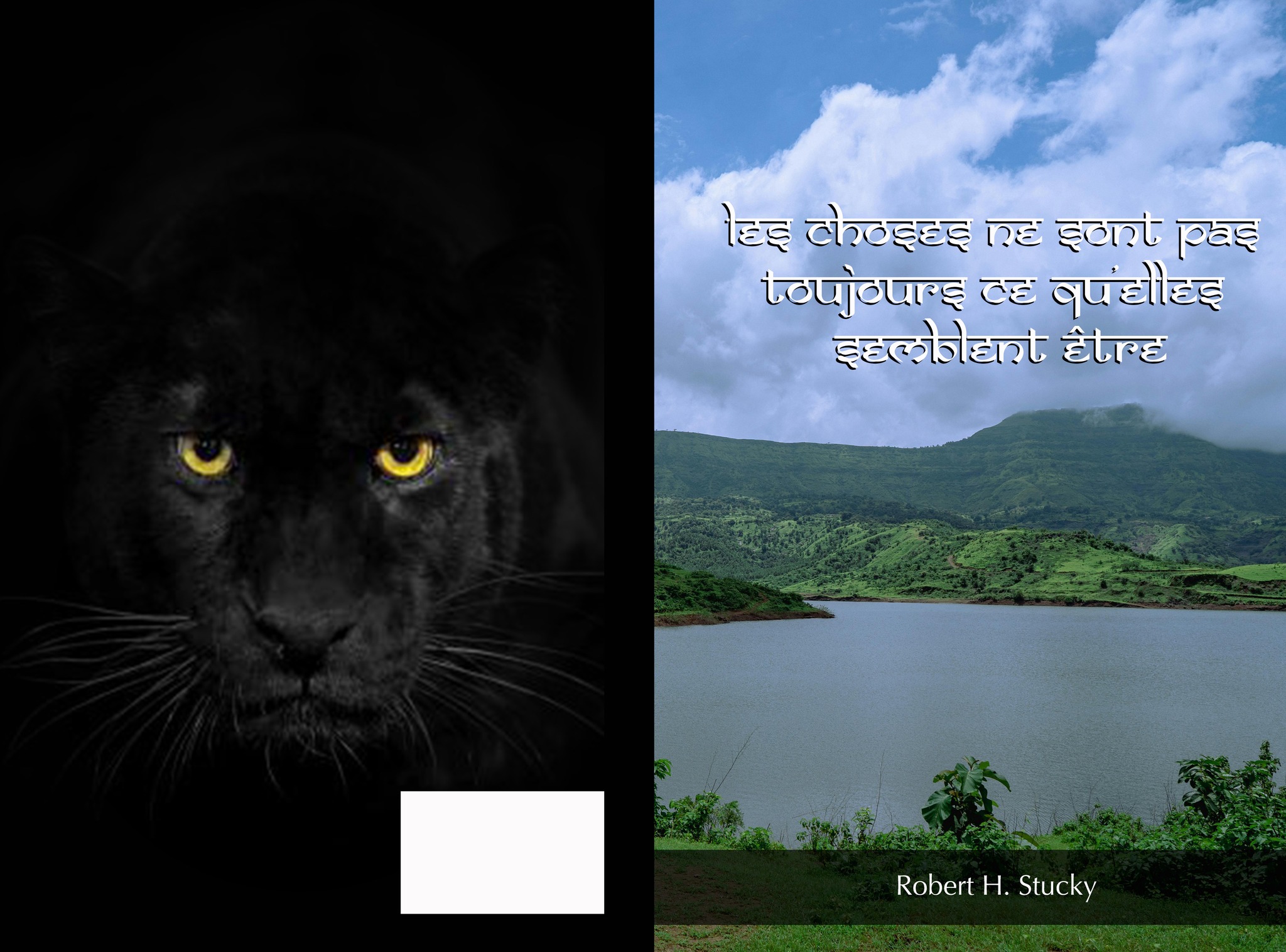 Robert Stucky Facebook ad: The last of my recent novels.