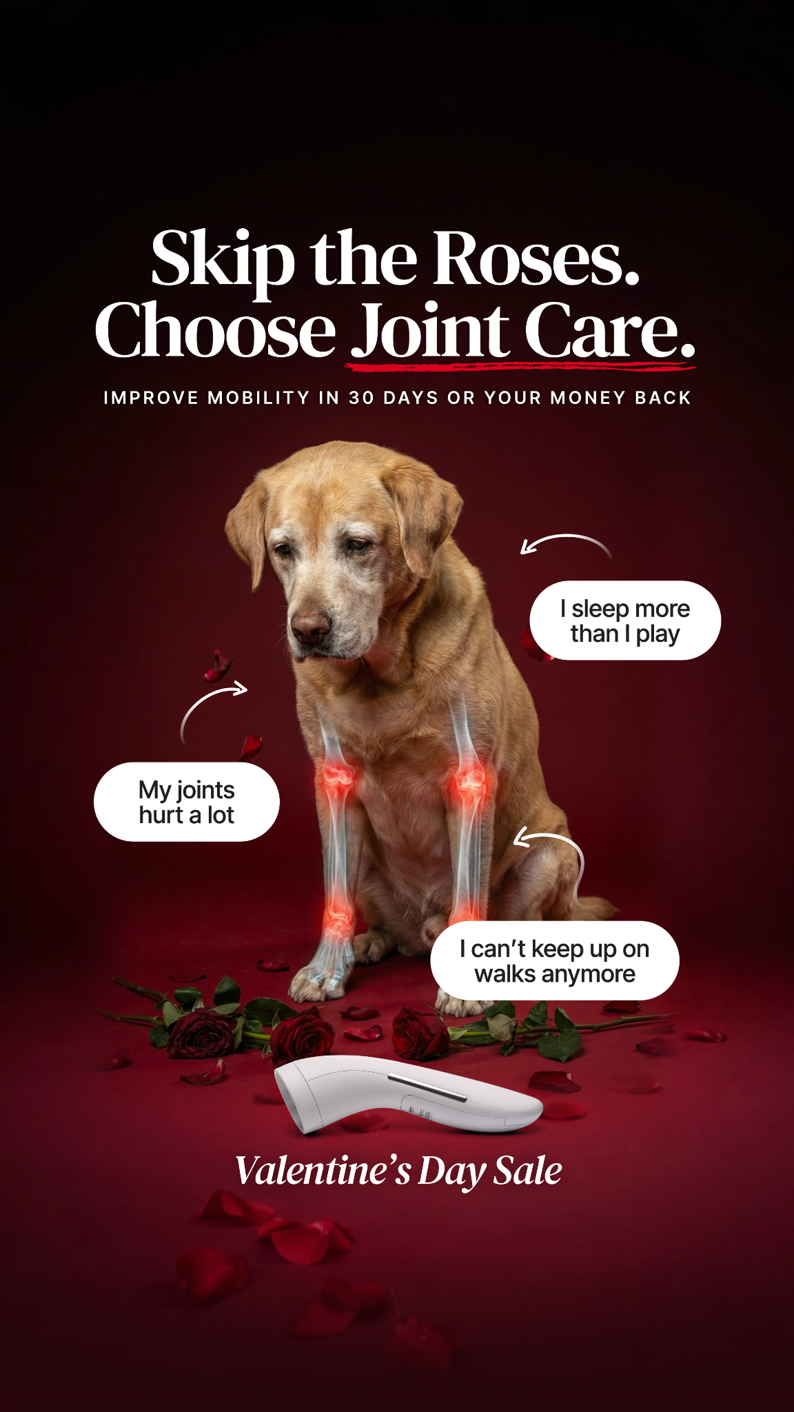 Helio Pet Facebook ad