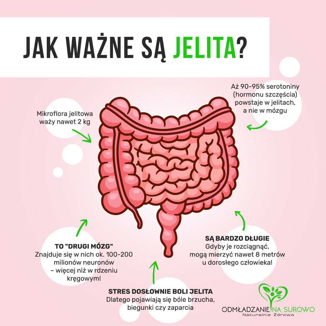 Odmładzanie Na Surowo Facebook ad: Twoje jelita to nie tylko narząd trawienny, to…