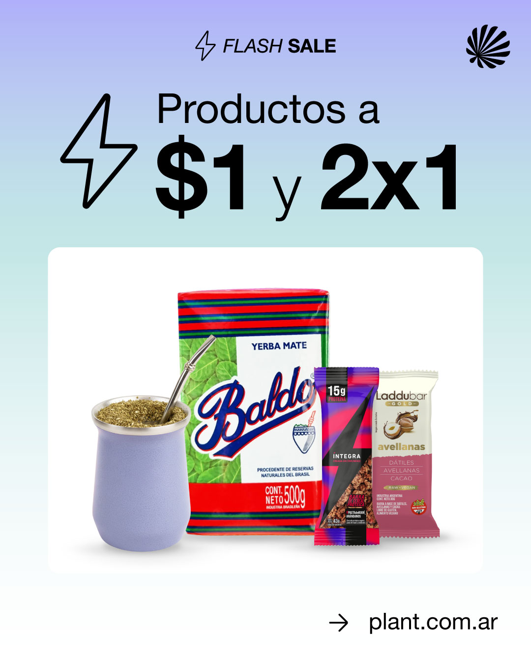 Plant - Conectando Conciencia Facebook ad: Flash Sale