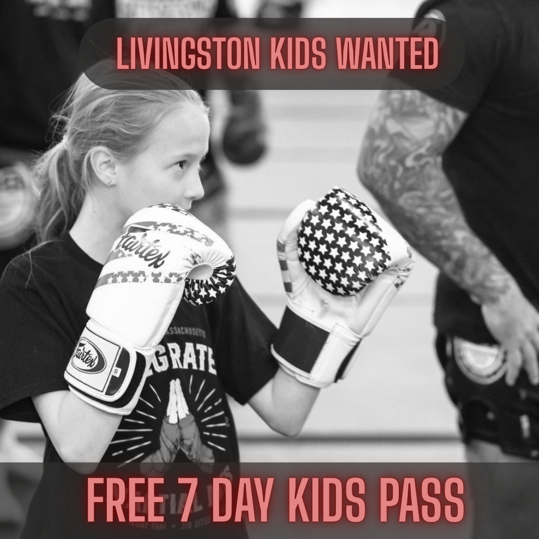 Integrated Martial Arts & Fitness Facebook ad: FREE 7 Day Pass