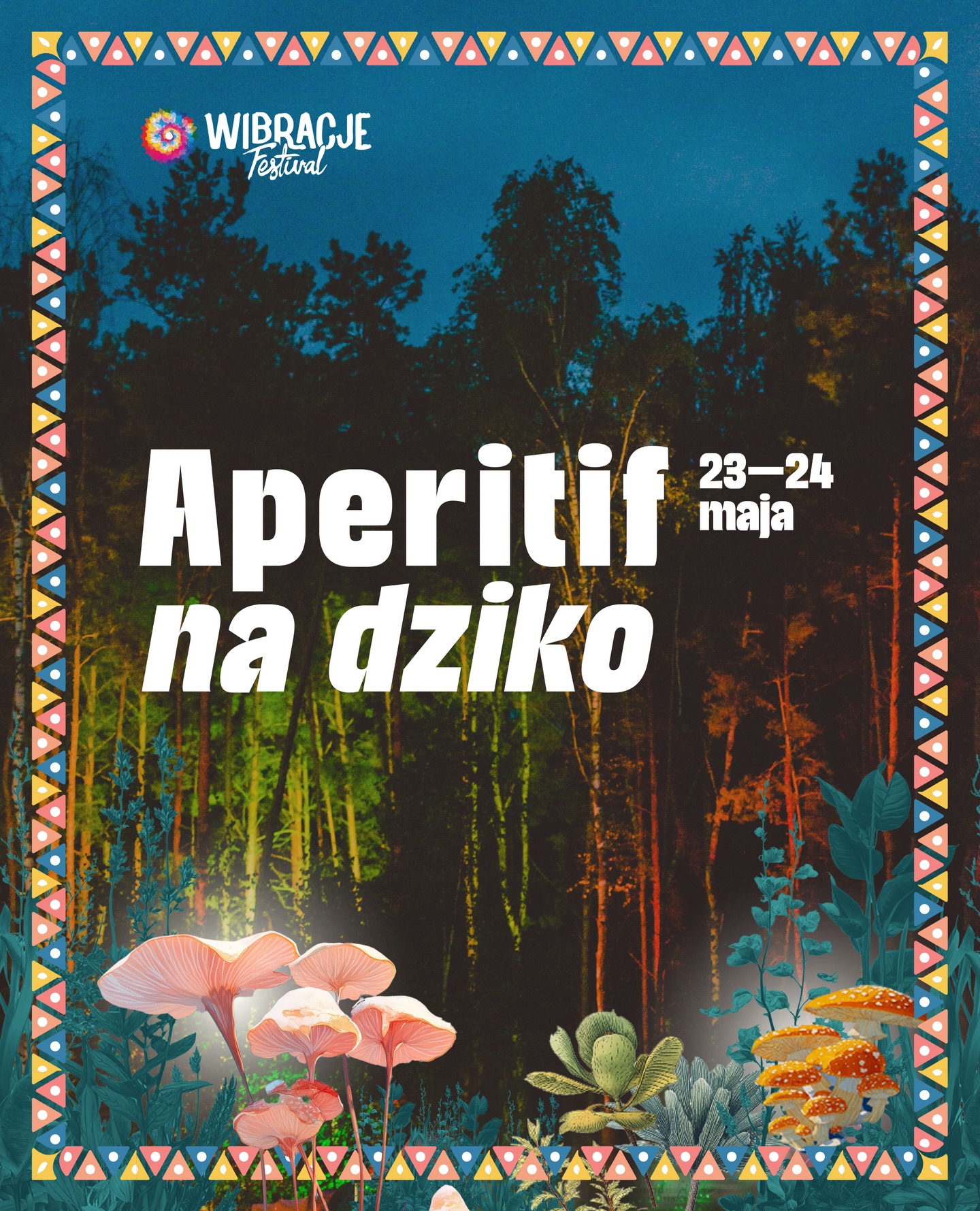 Wibracje Festiwal Facebook ad: Newsletter - Festiwal Wibracje