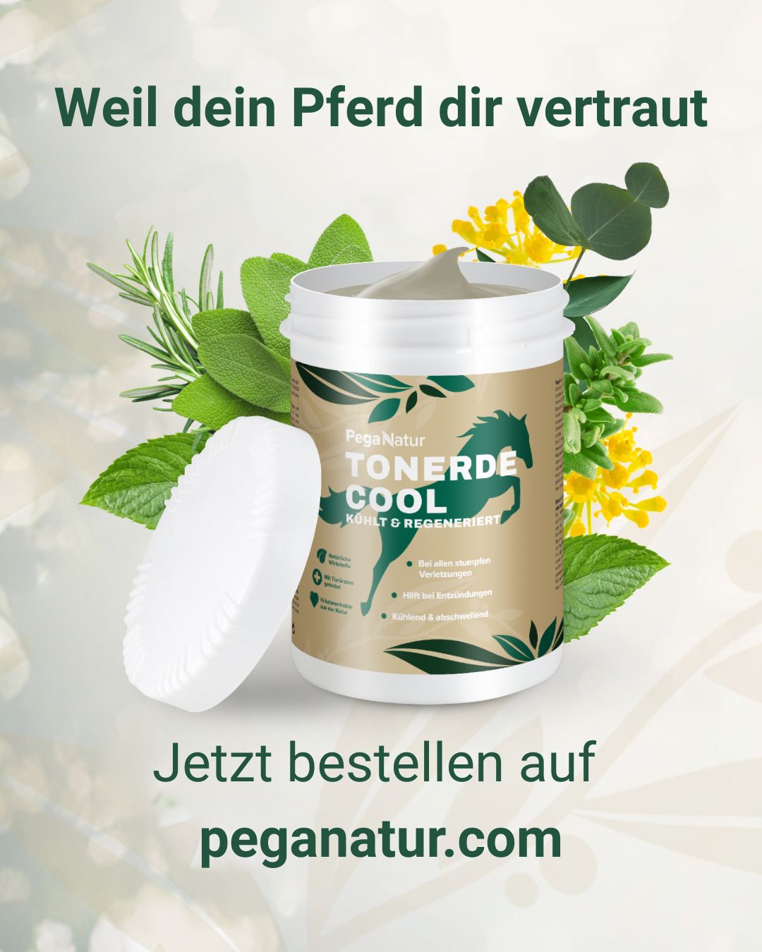 PegaNatur Facebook ad