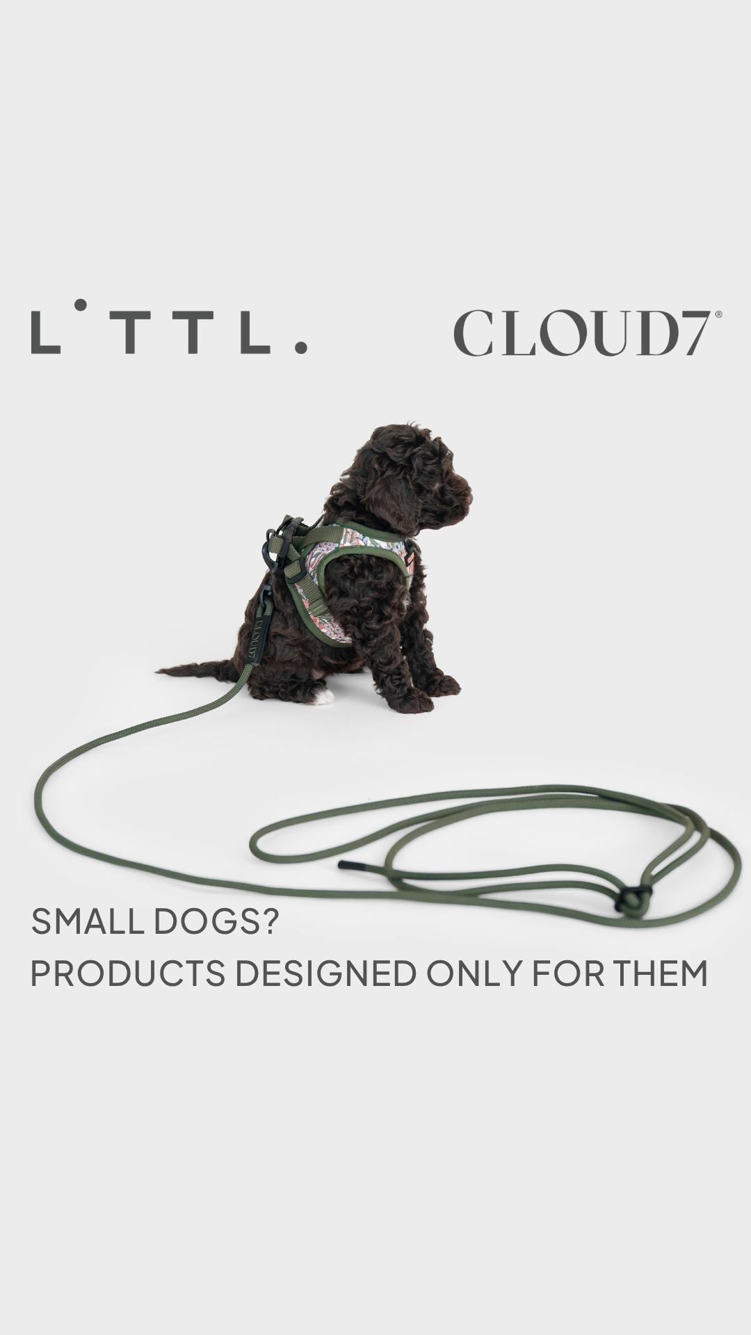 Cloud7 Facebook ad