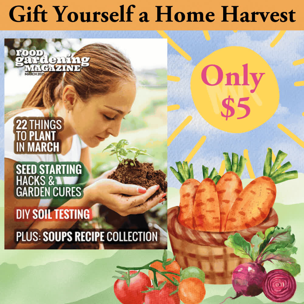 Food Gardening Network Facebook ad: SALE! Just $5 for a Full Year!