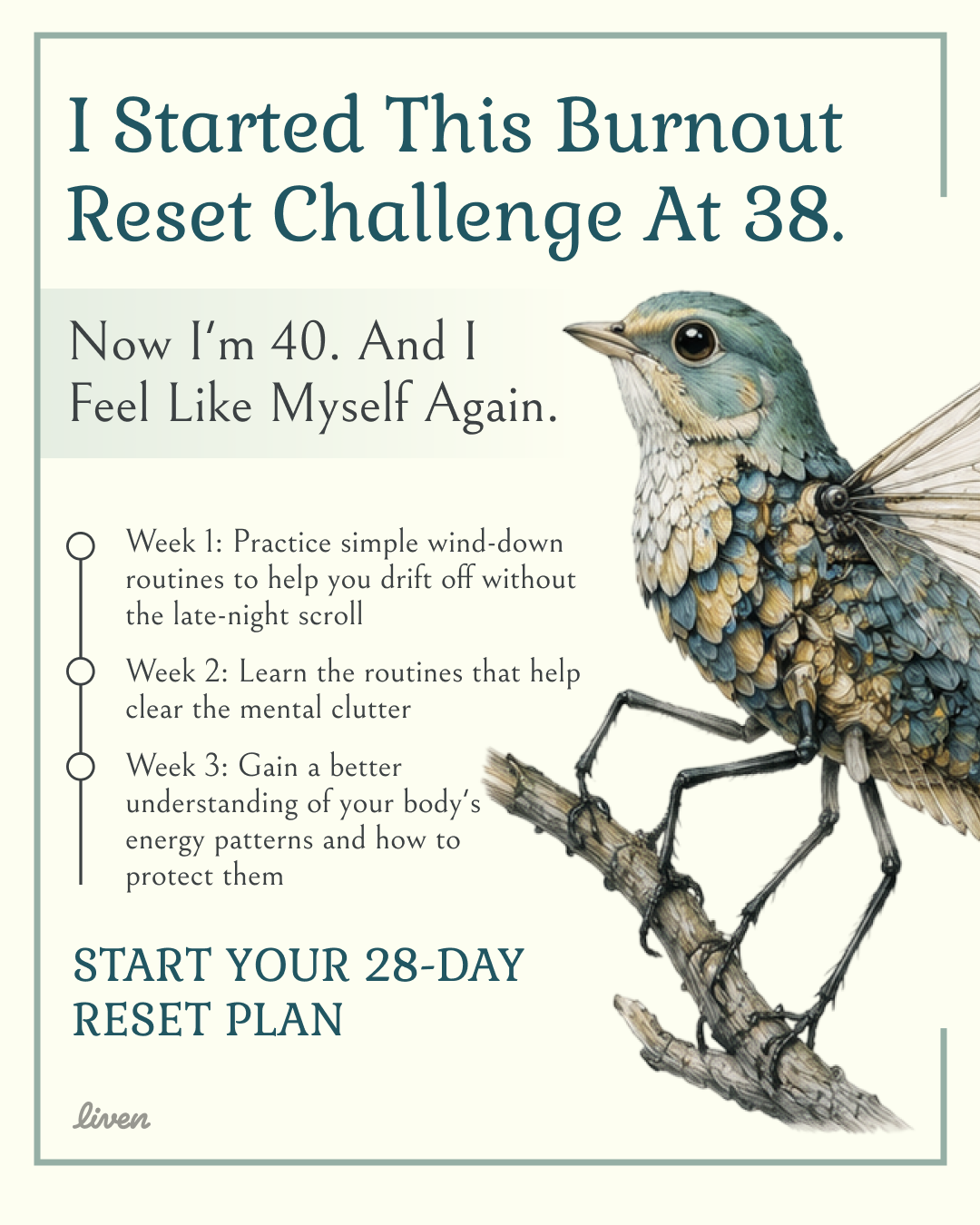 Olivia Reed Facebook ad