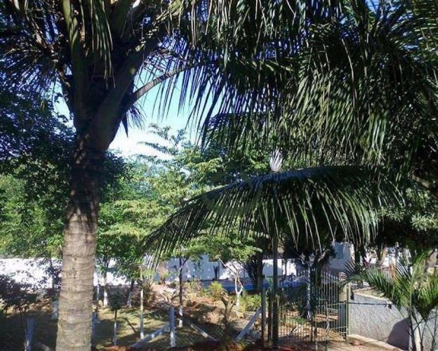 Imovelweb Facebook ad: Procurando imóvel para comprar em Campinas?