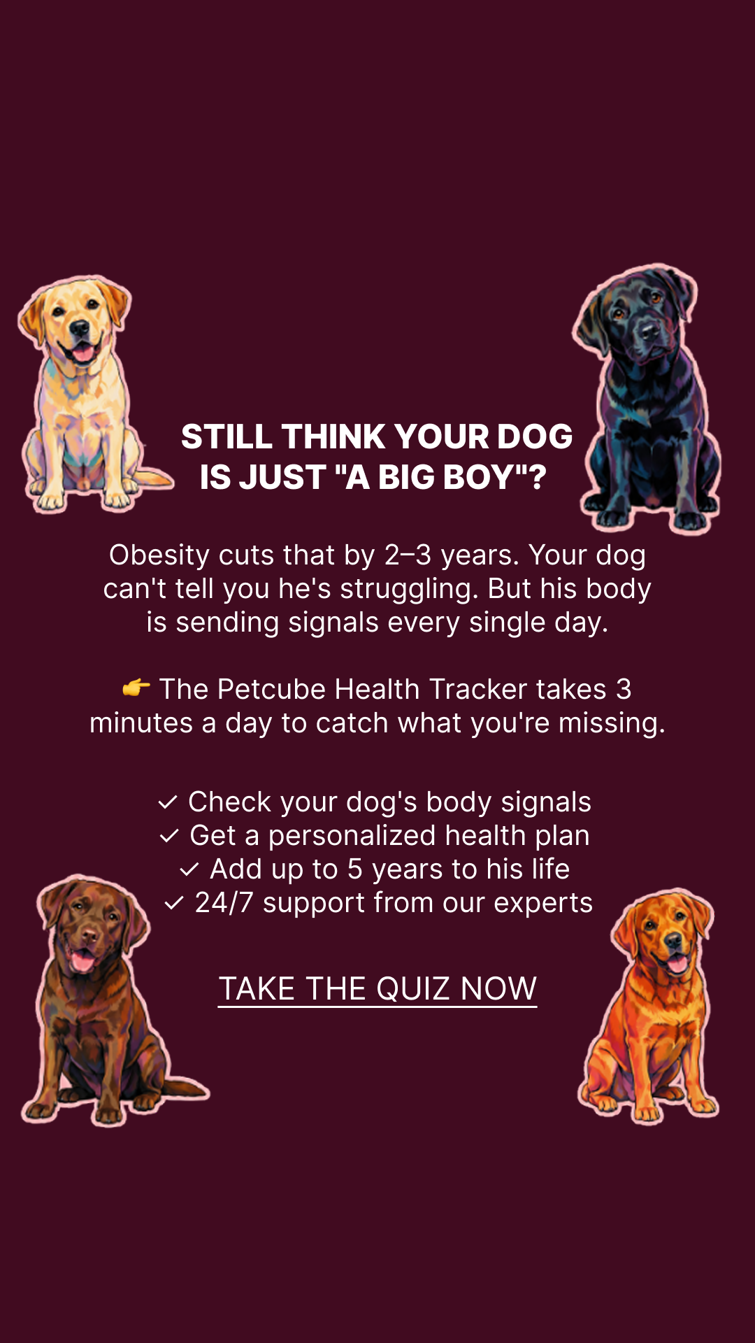 Petcube Facebook ad