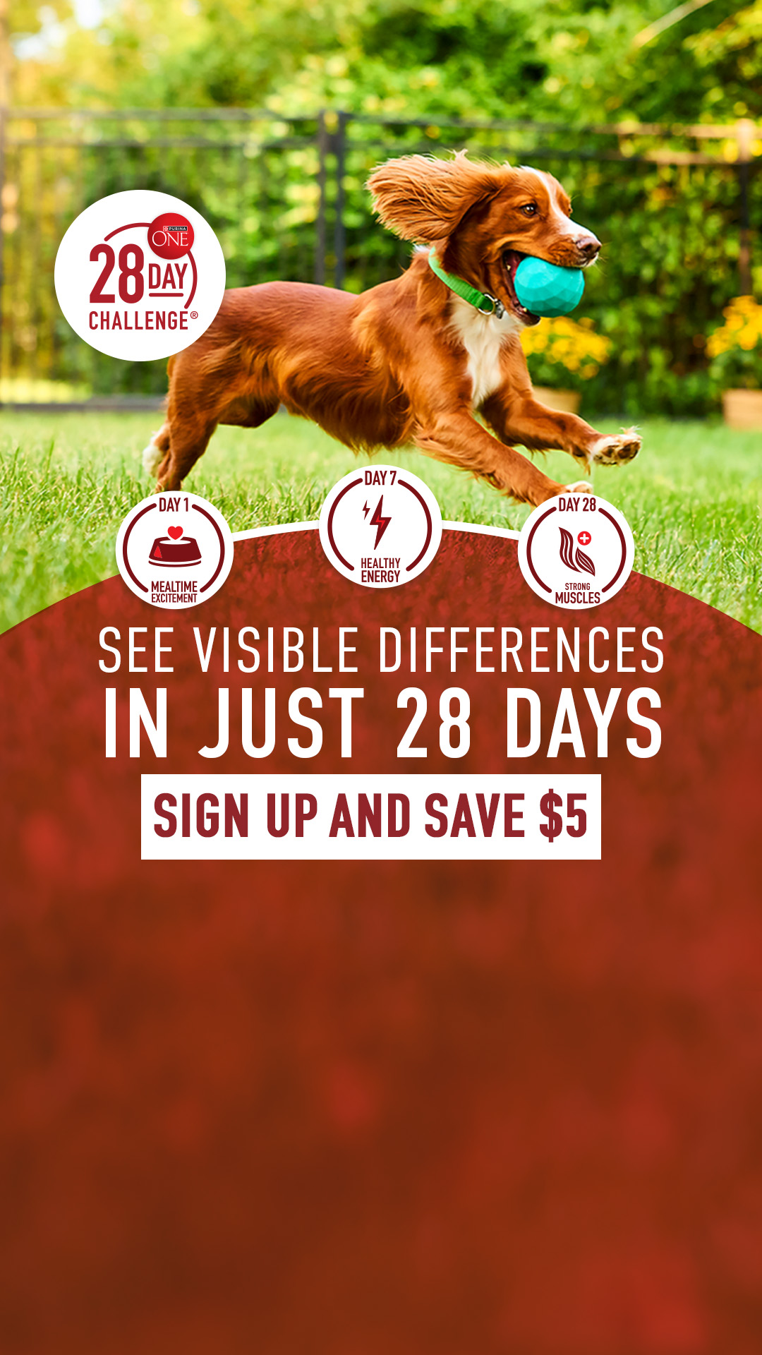 Purina ONE Facebook ad from Jul 9, 2026