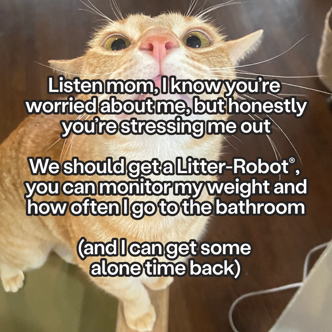 Whisker Facebook ad: Never Scoop Again