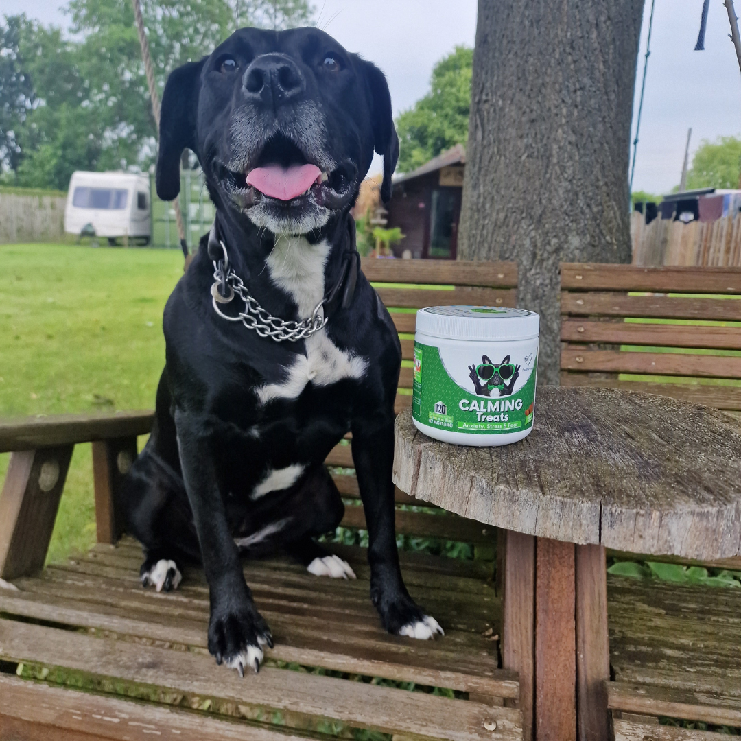 Nutri Paw Facebook ad