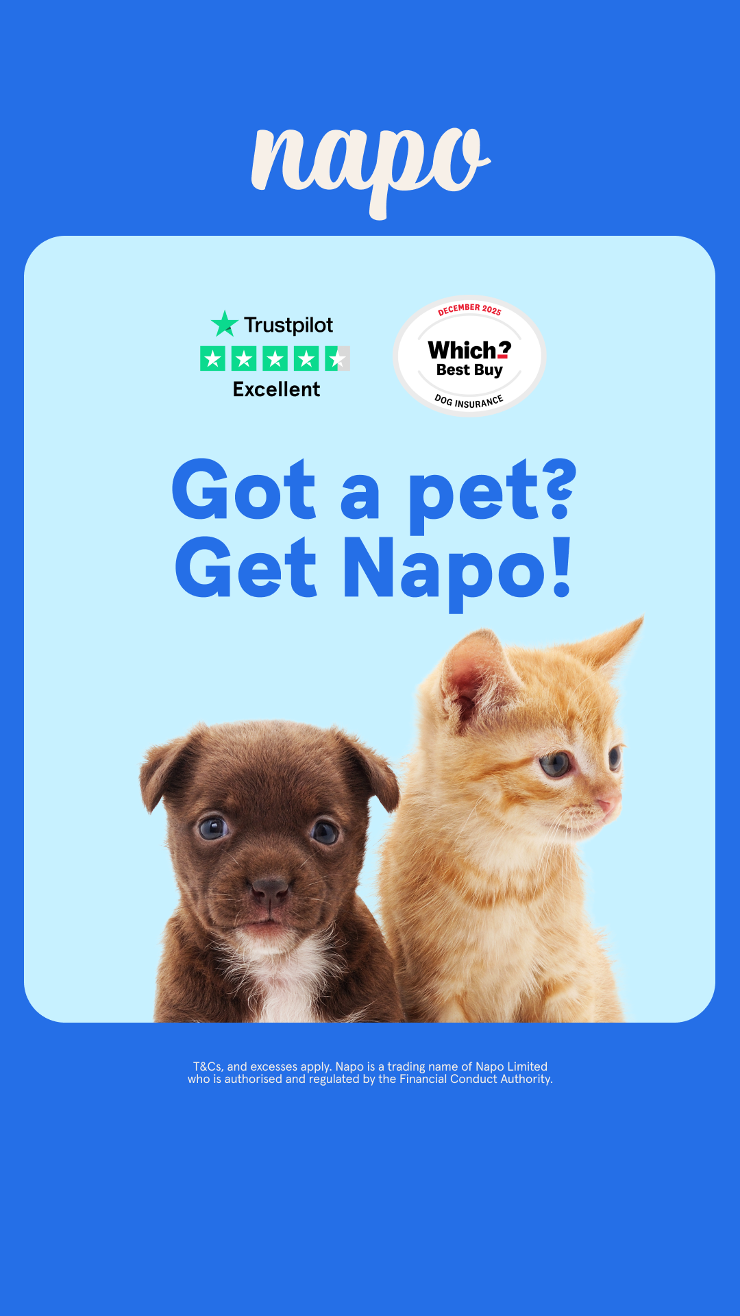 Napo Pet Insurance Facebook ad