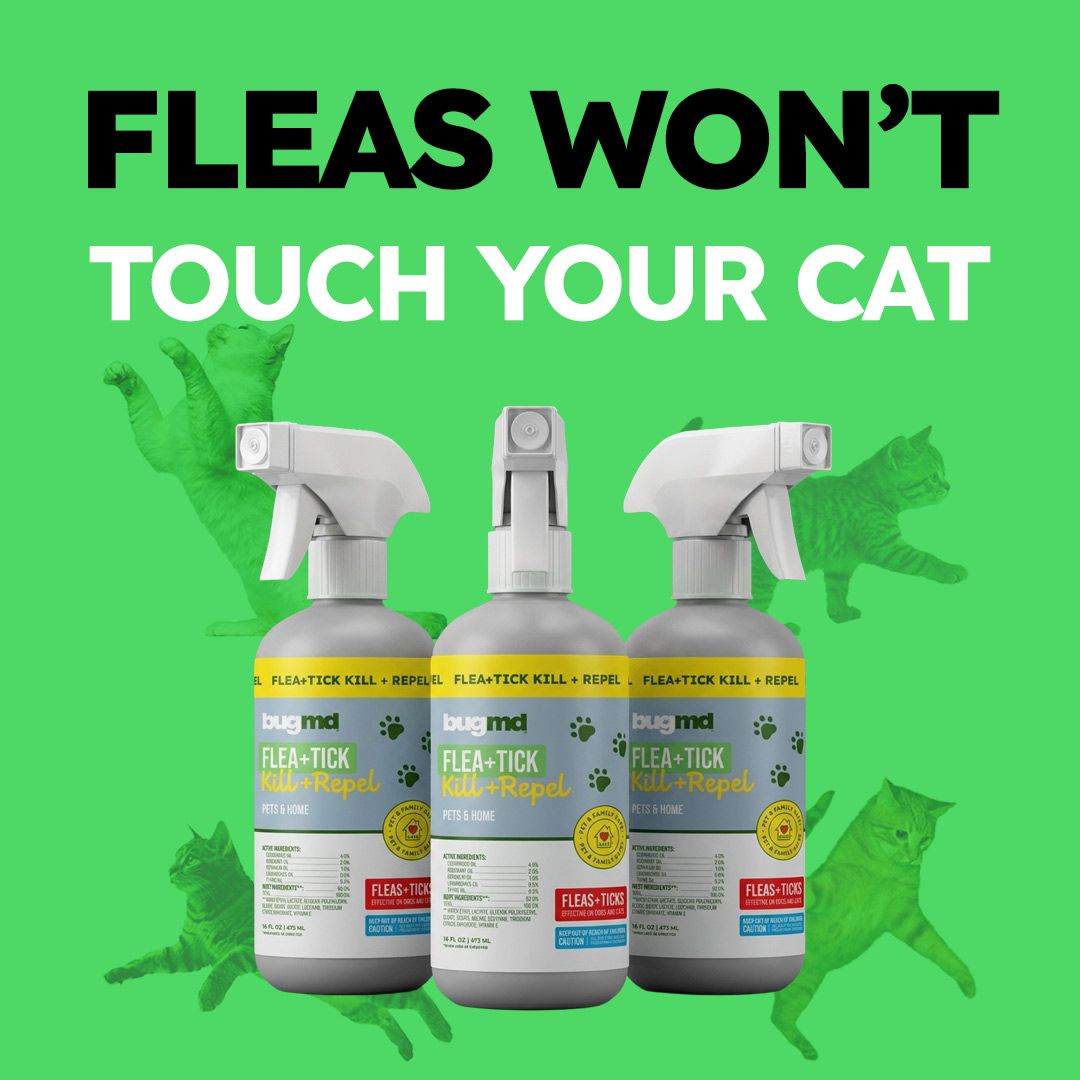 Flea & Tick Control Facebook ad