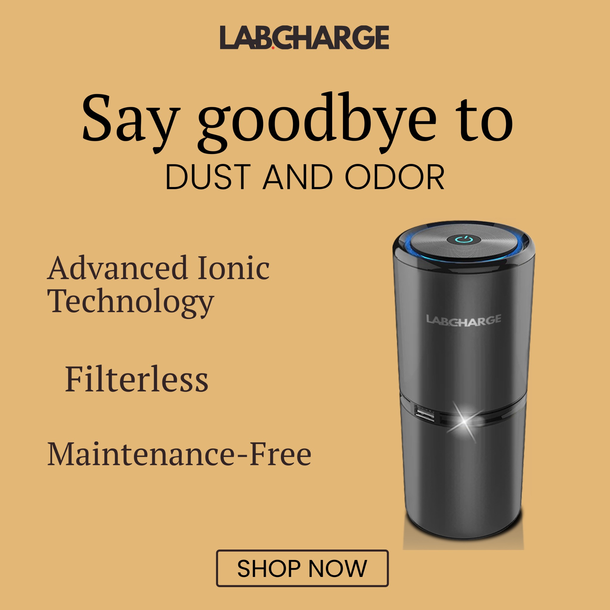 Home Air Purifier Facebook ad