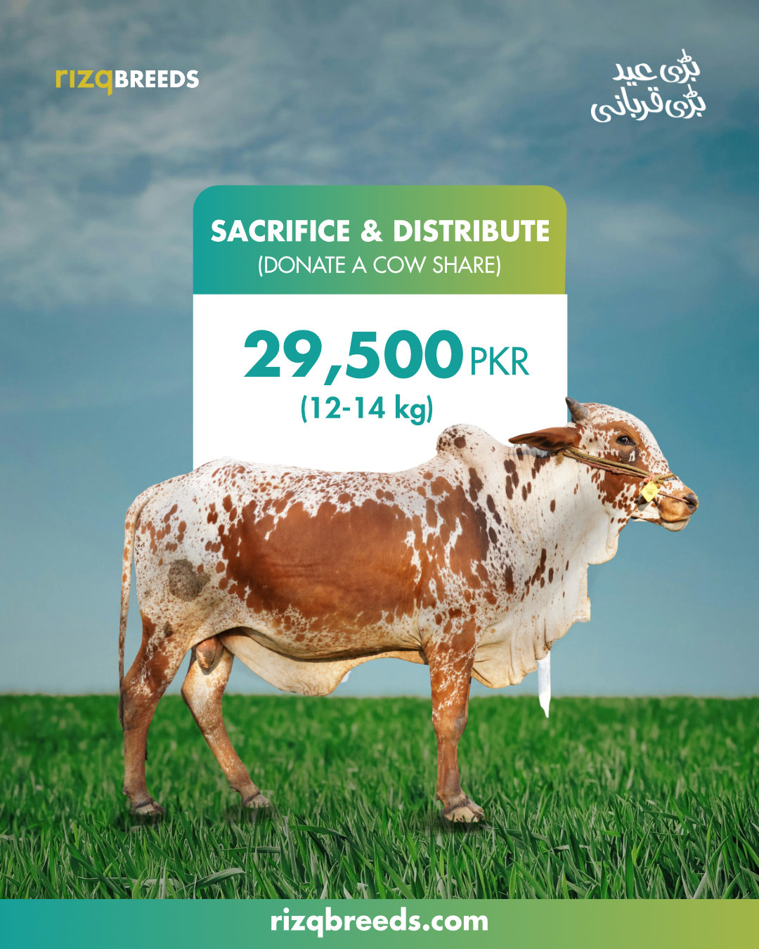 Rizq Breeds Facebook ad: Booking Details, Rizq Breeds