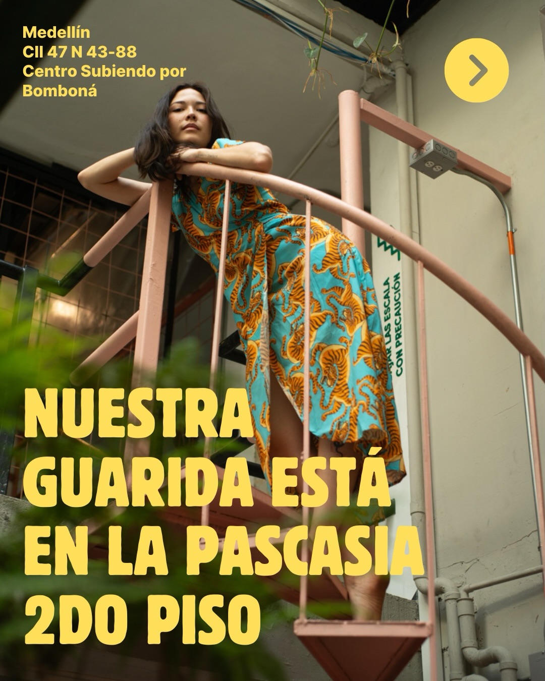 Lakapital Facebook ad: Nuestra guarida indomavle está en Medellín en @lapascasia
