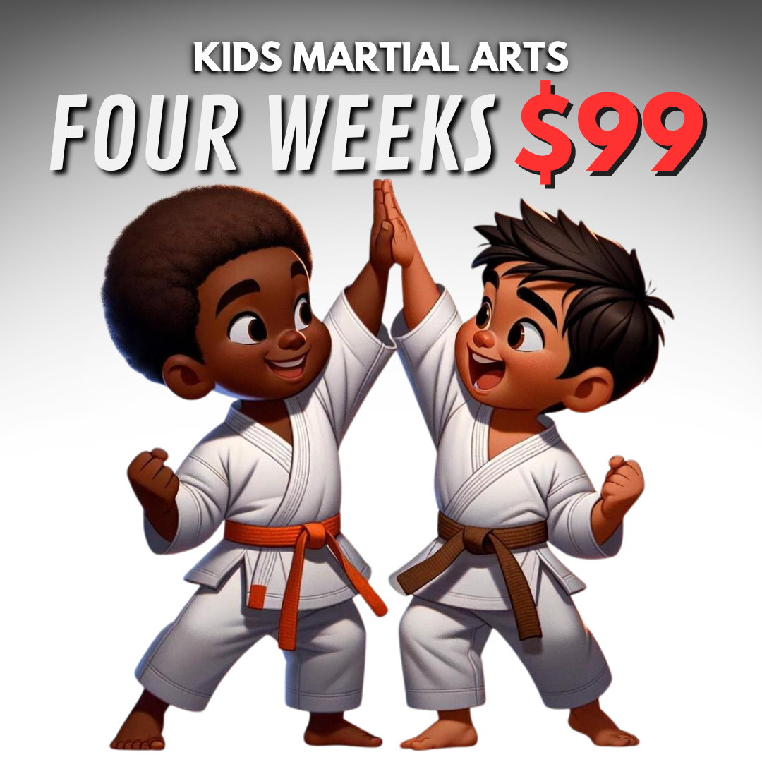 Star Martial Arts South Bend Facebook ad
