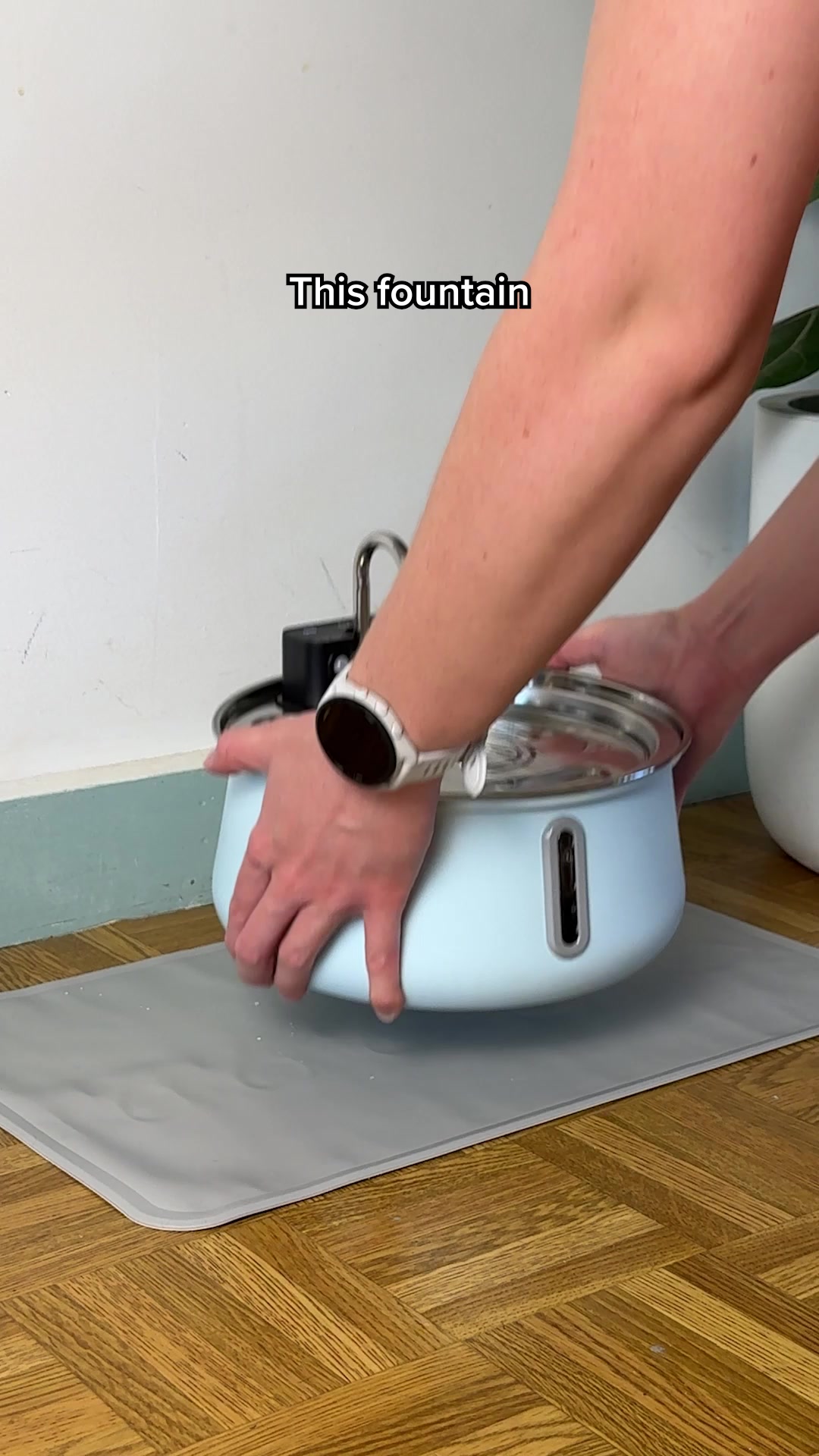 KittySpout Facebook ad: The First Ever Colored Stainless Steel Fountains