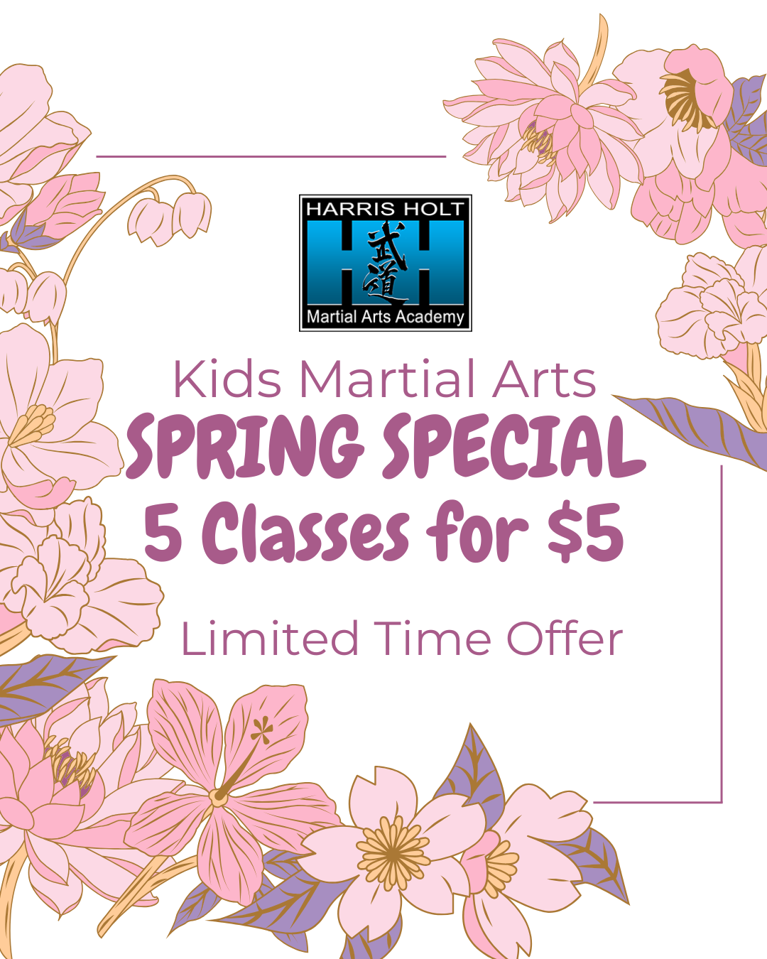 Harris Holt Martial Arts Academy Facebook ad