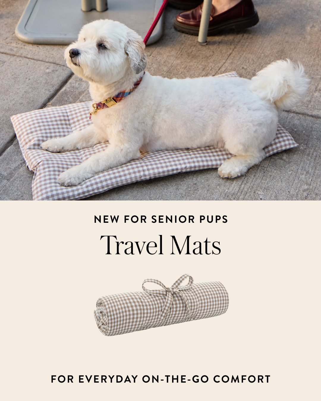 The Foggy Dog Facebook ad